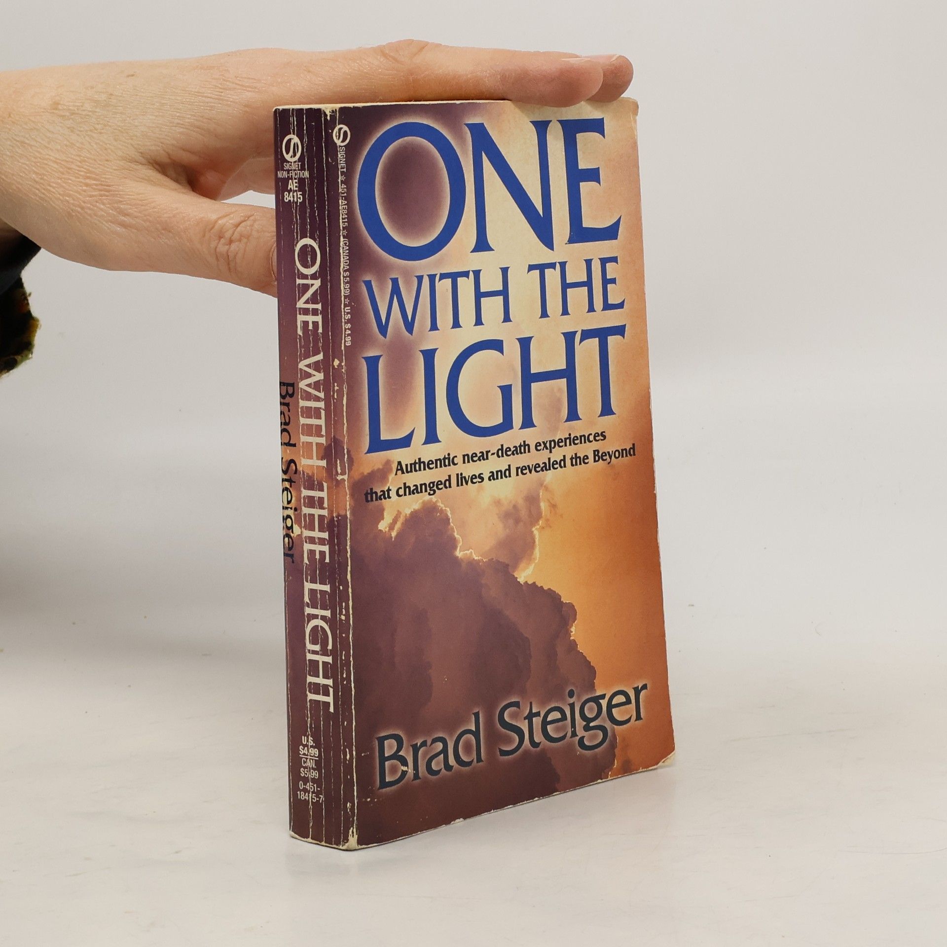 Brad Steiger One With The Light