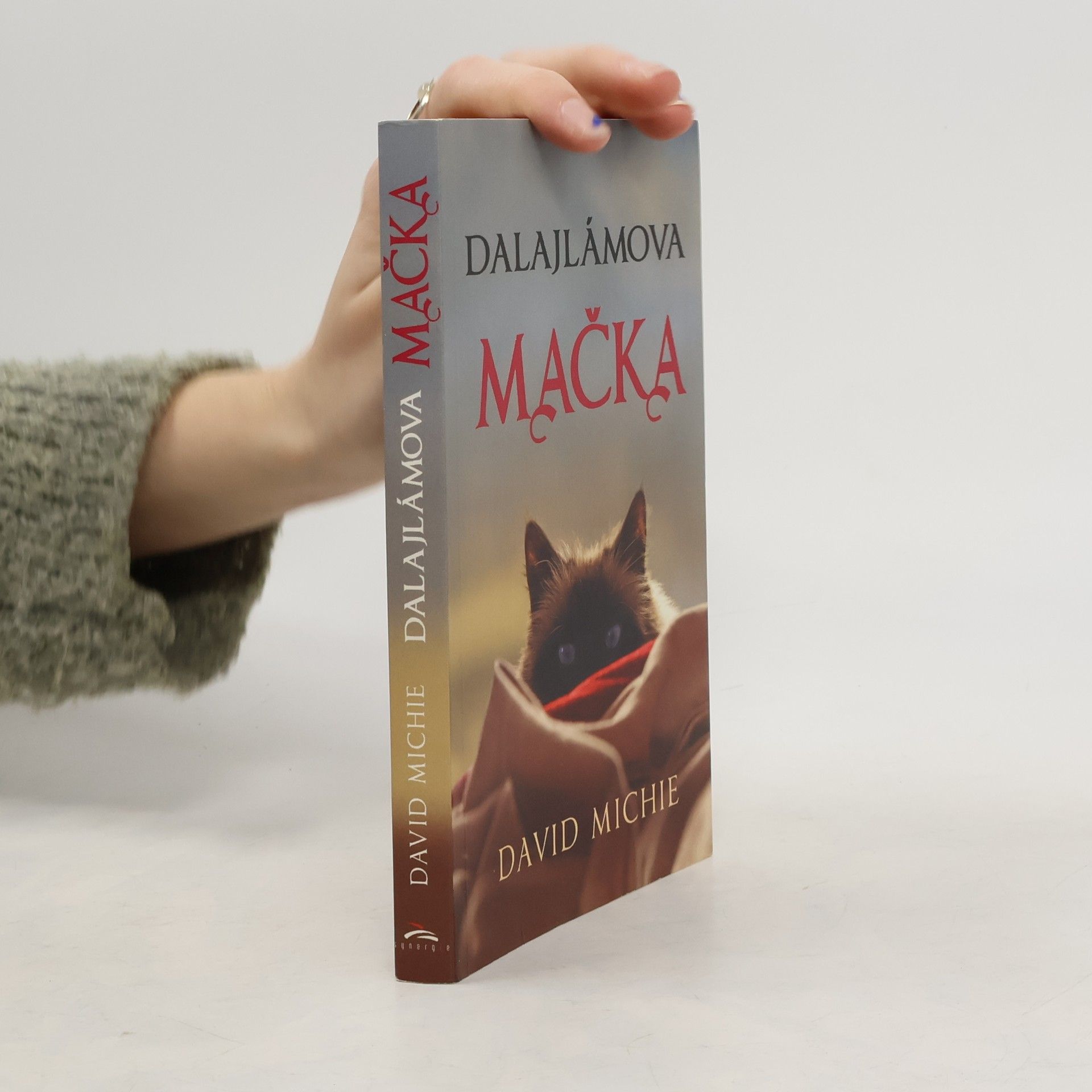 David Michie Dalajlámova mačka