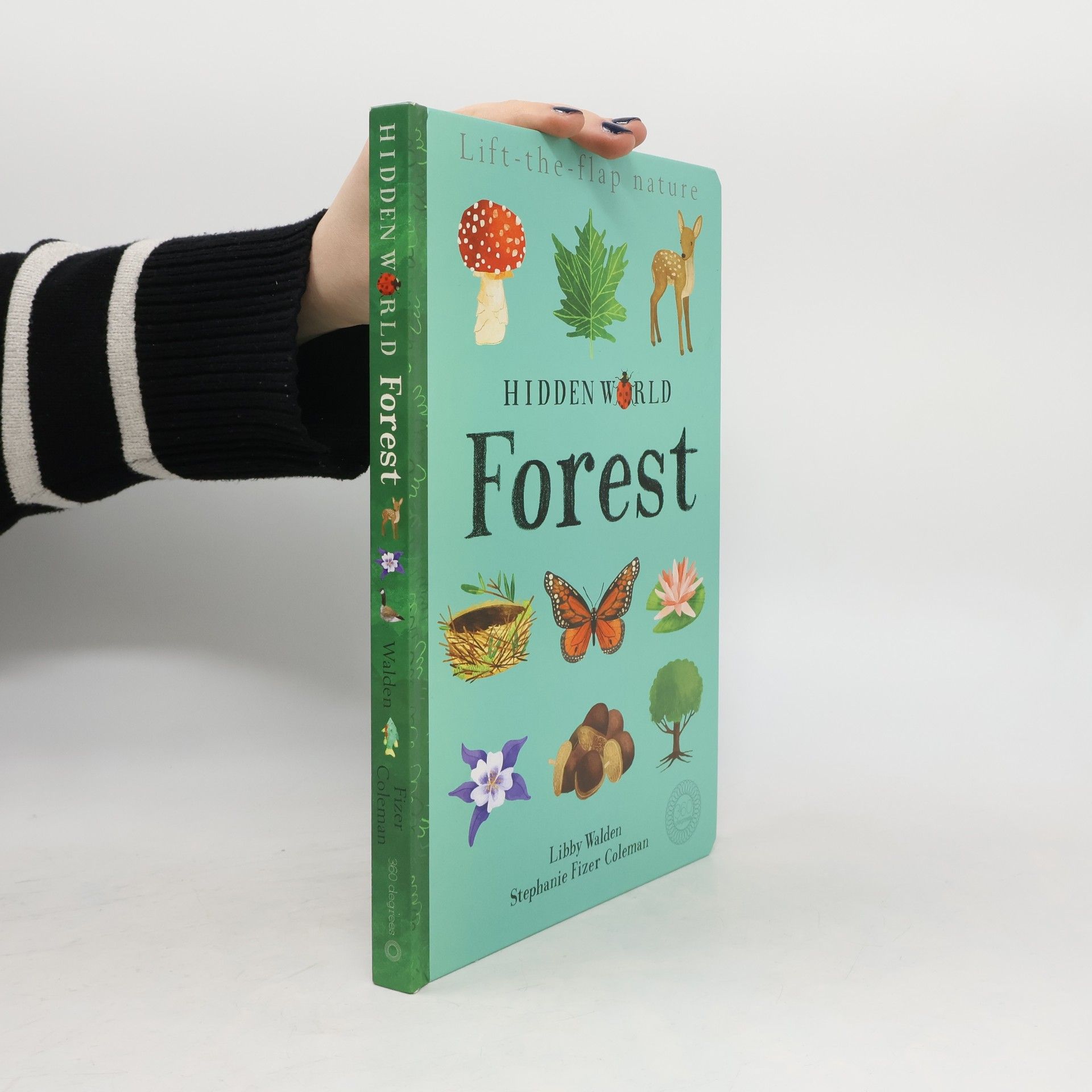 Libby Walden Hidden world: Forest