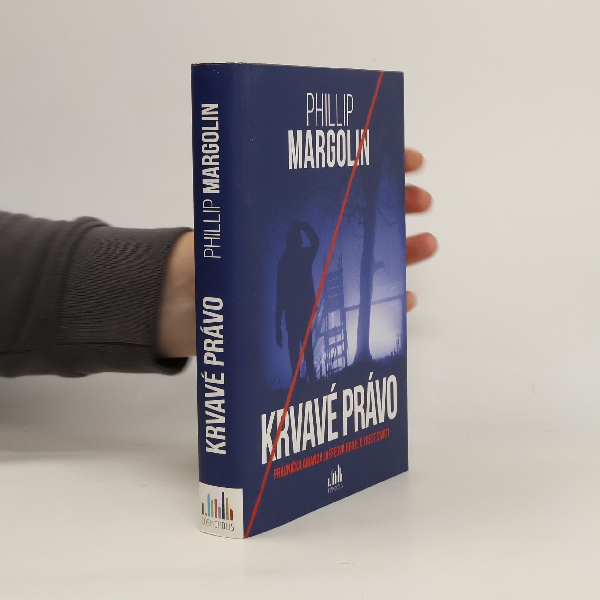 Phillip Margolin Krvavé právo. Právnička Amanda Jaffeová hraje o trest smrti