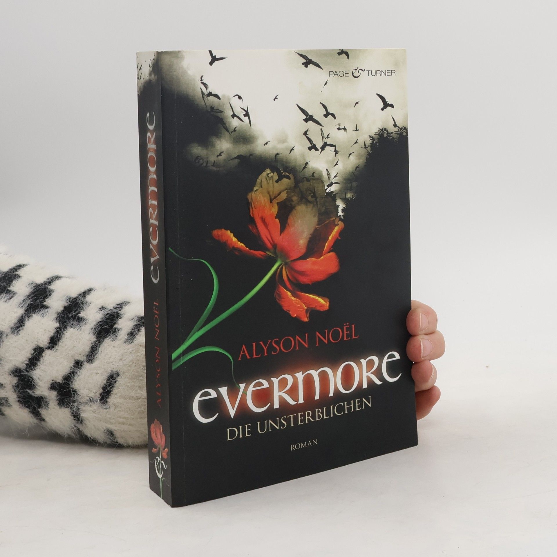 Alyson Noë͏l Evermore 1