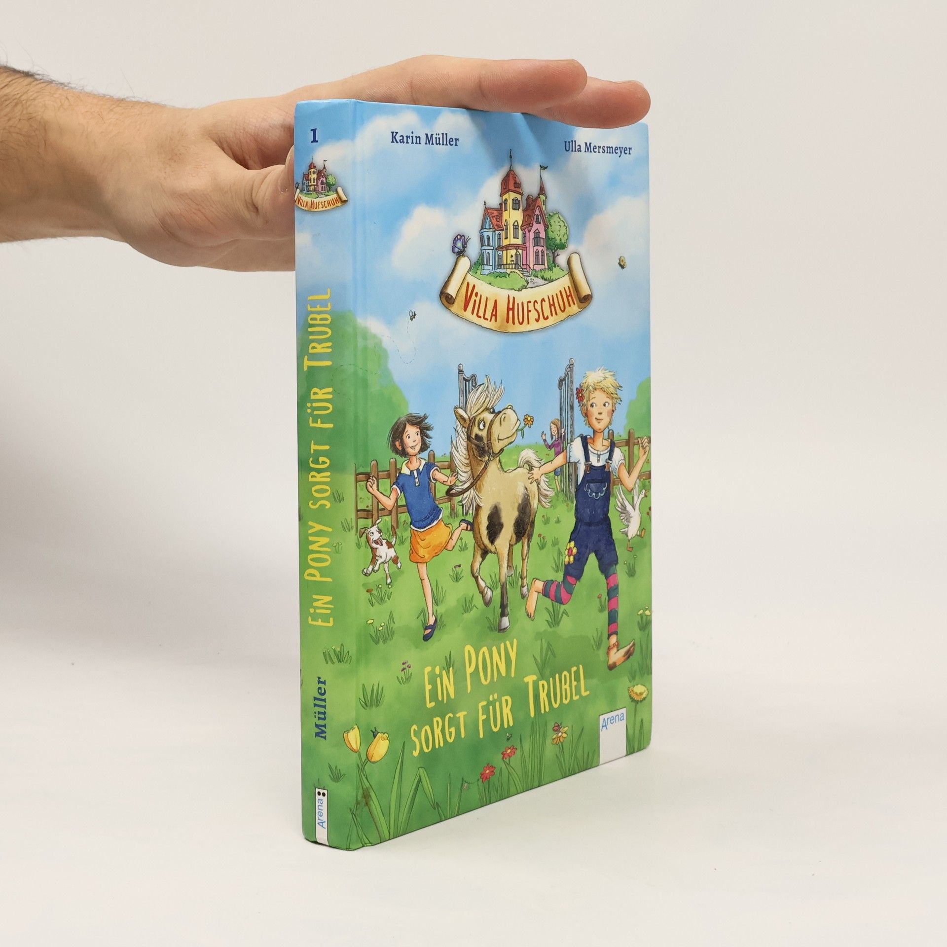 Karin Elke Ein Pony sorgt für Trubel