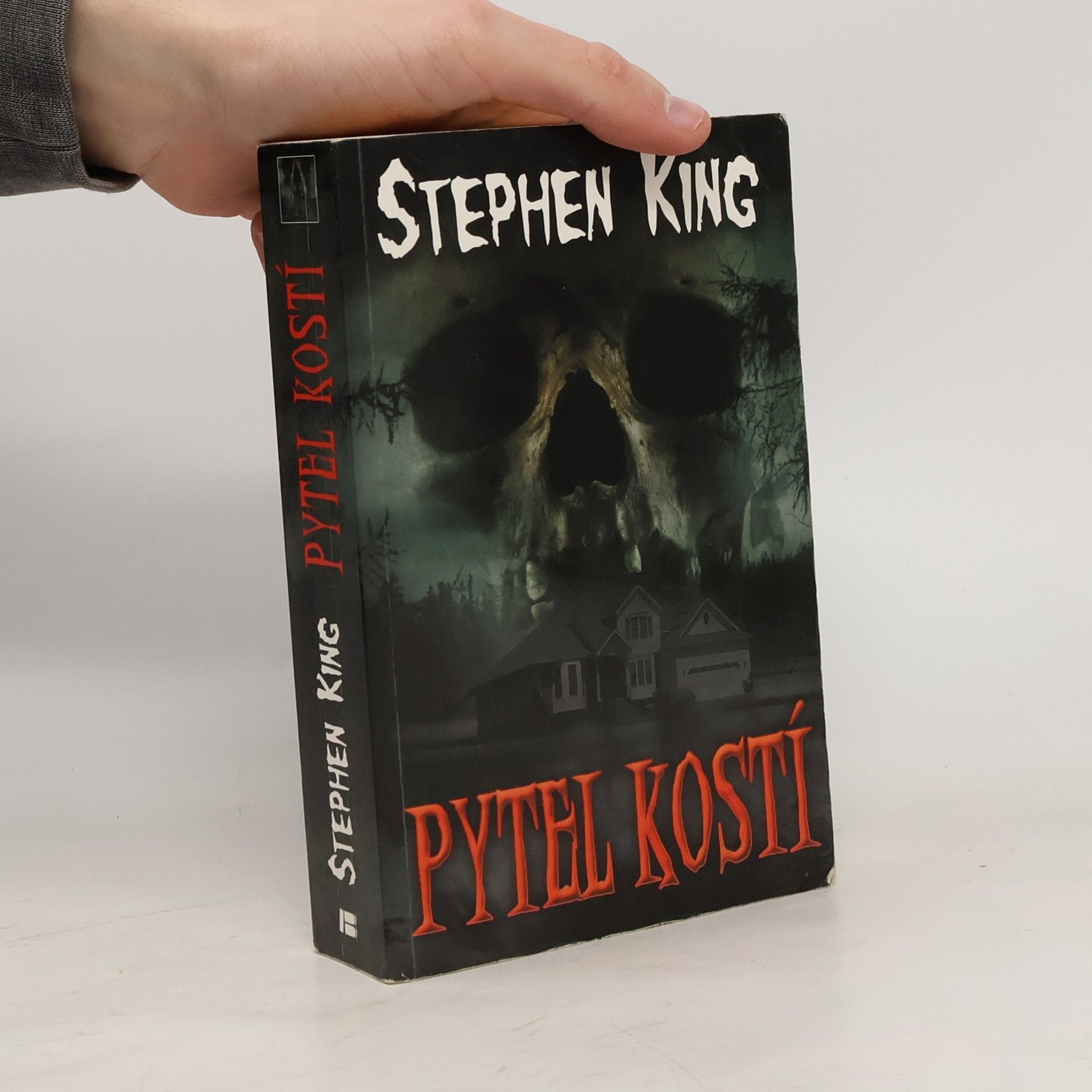 Stephen King Pytel kostí