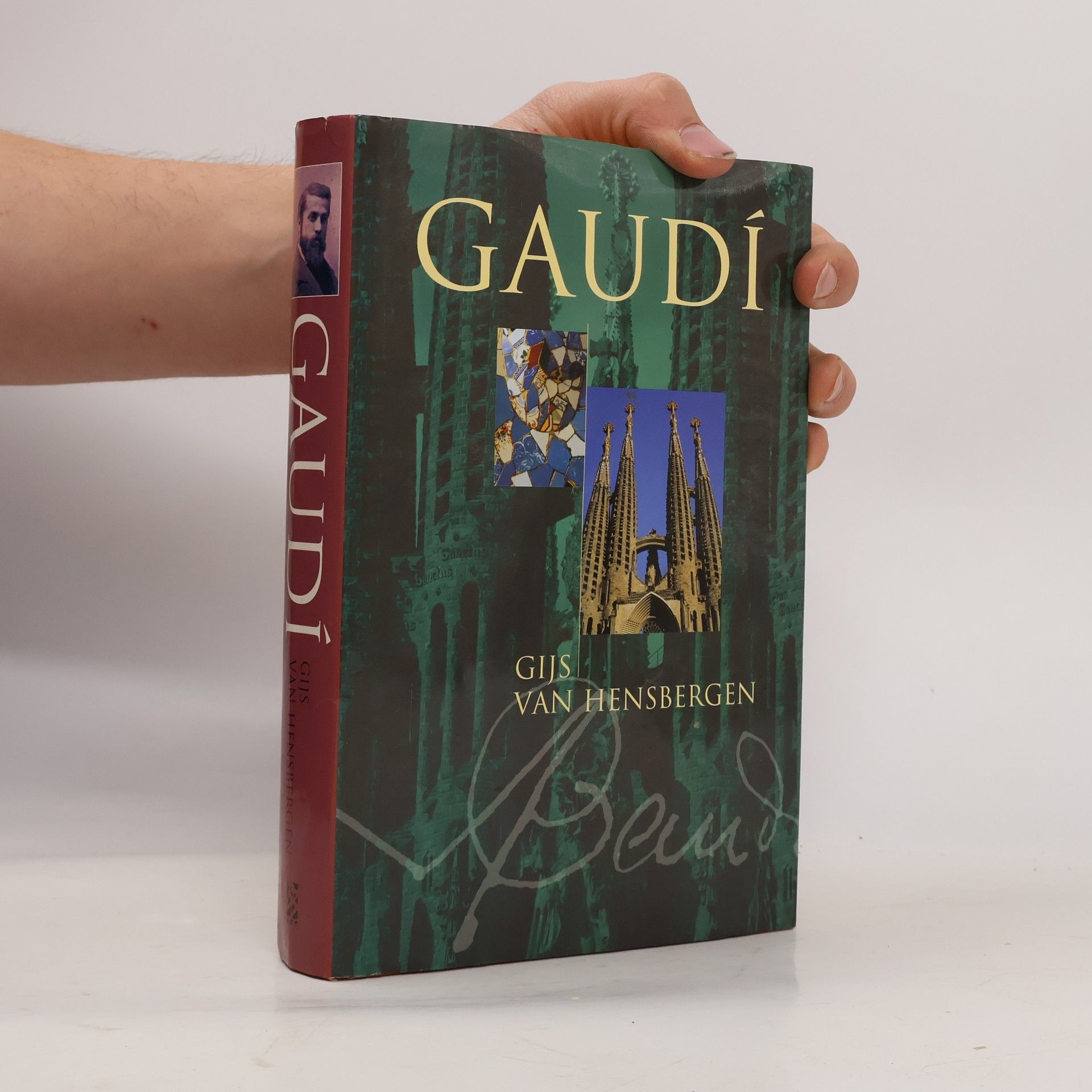 Gijs van Hensbergen Gaudí