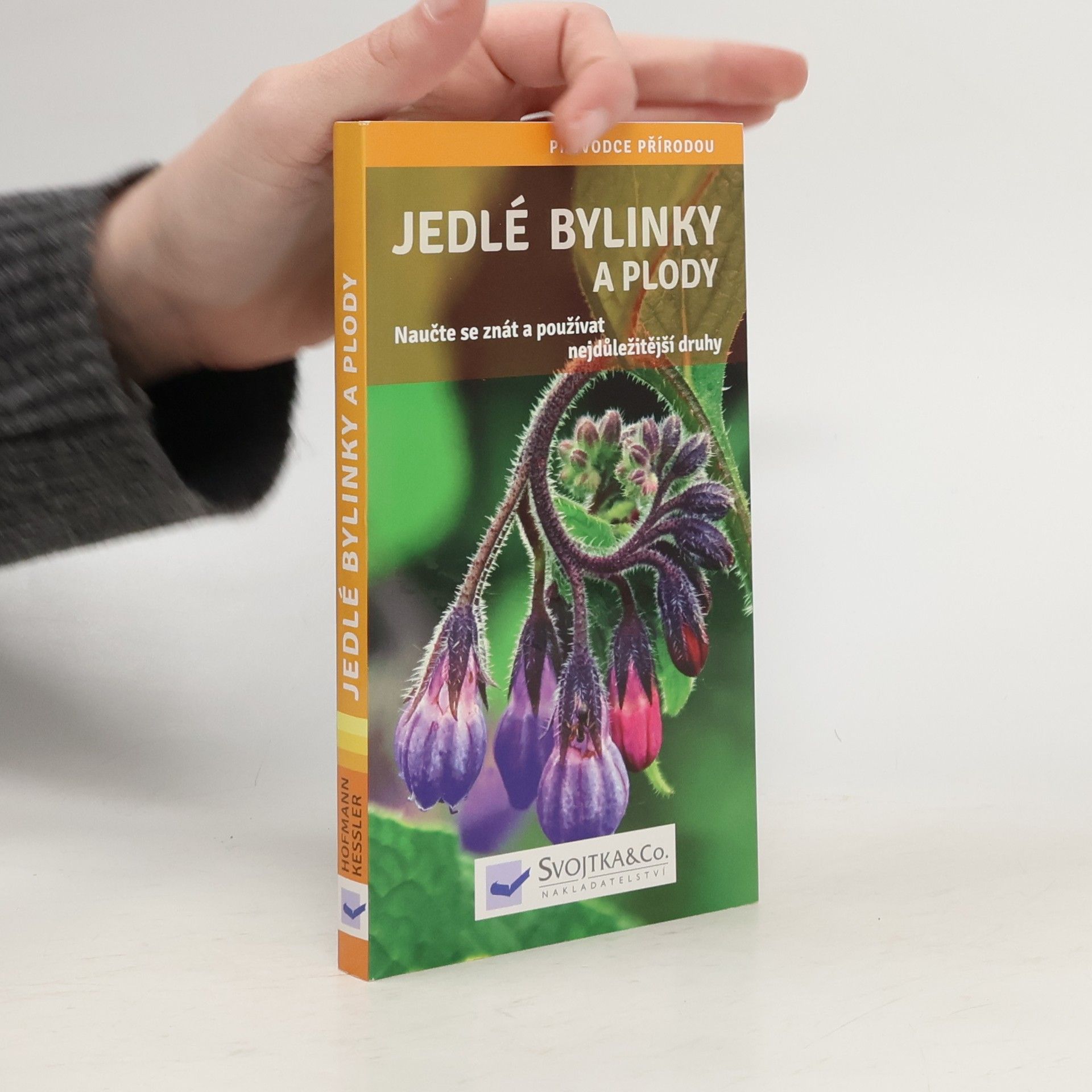 Helga Hofmann-Sieber Jedlé bylinky a plody