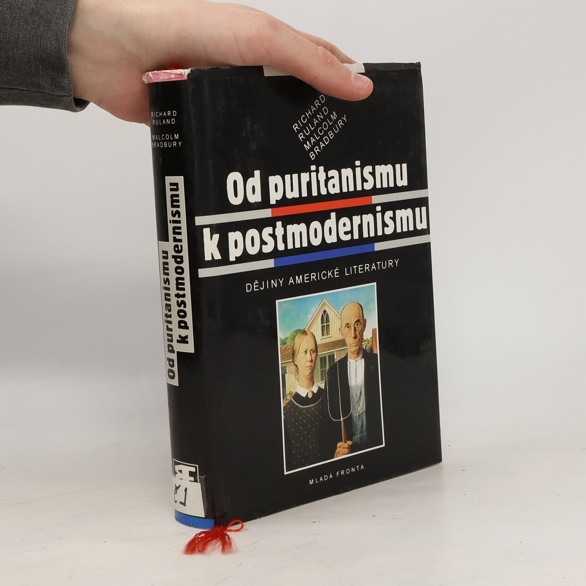 Od puritanismu k postmodernismu : dějiny americké literatury