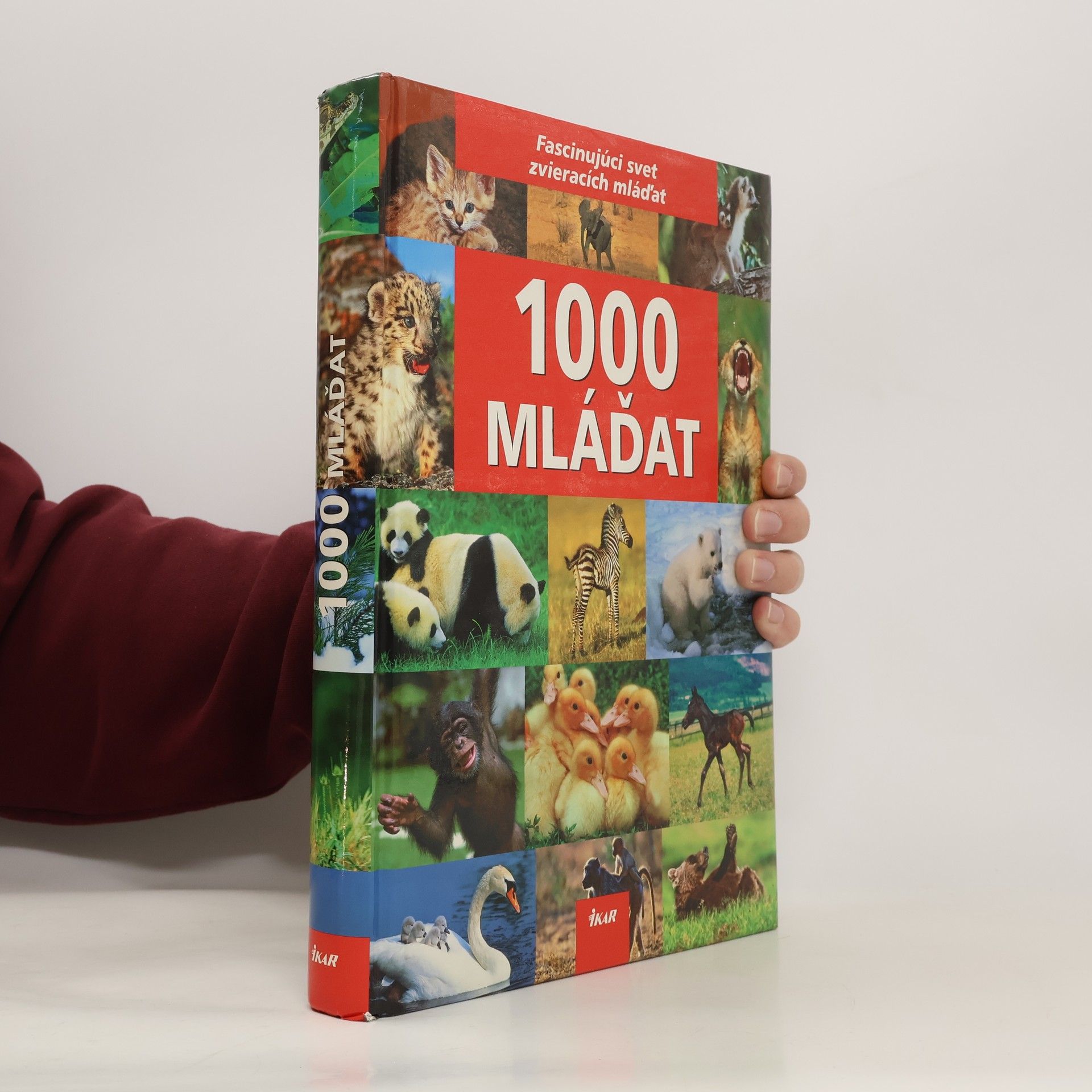 Ulrike Schöber 1000 mláďat