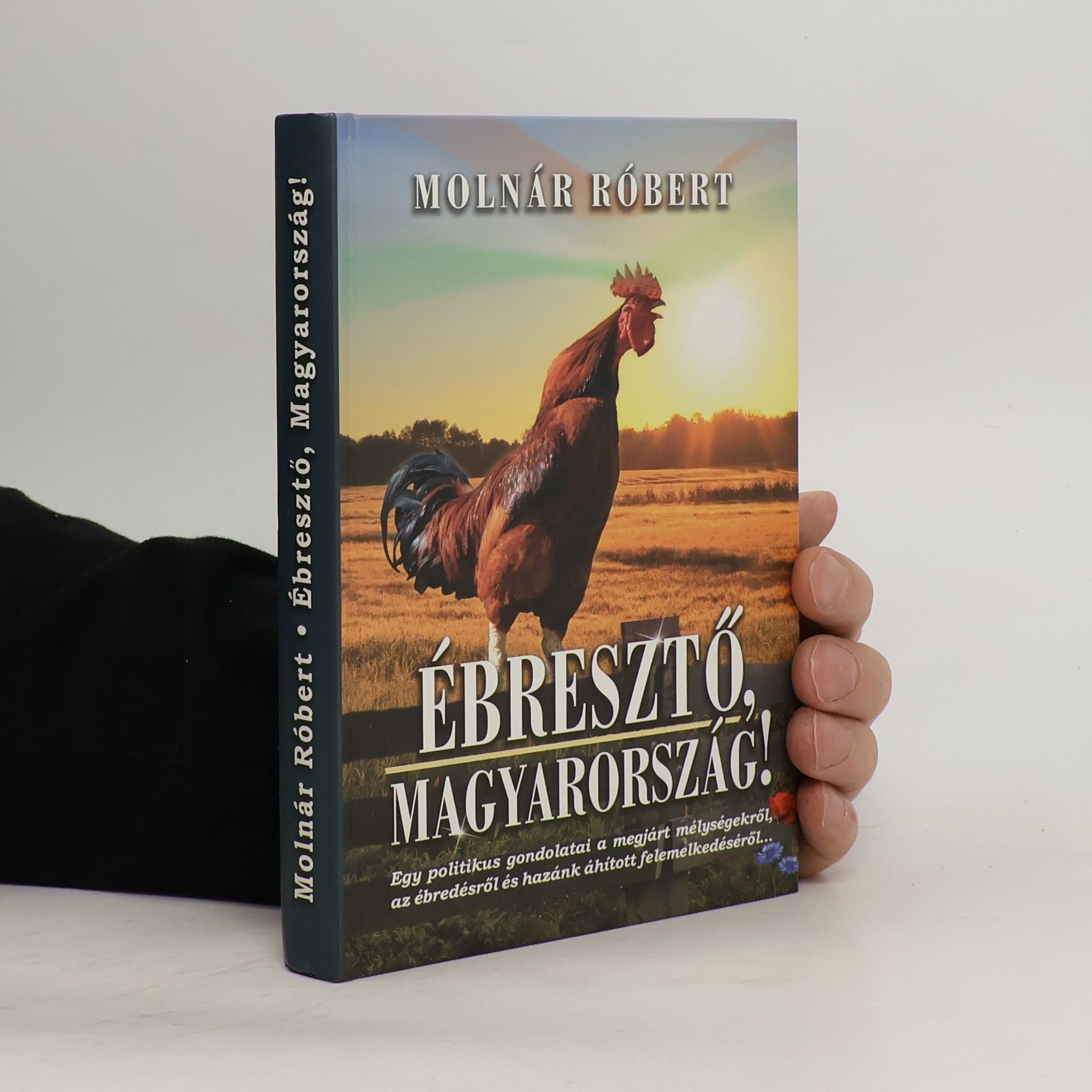 Ébresztő, Magyarország!