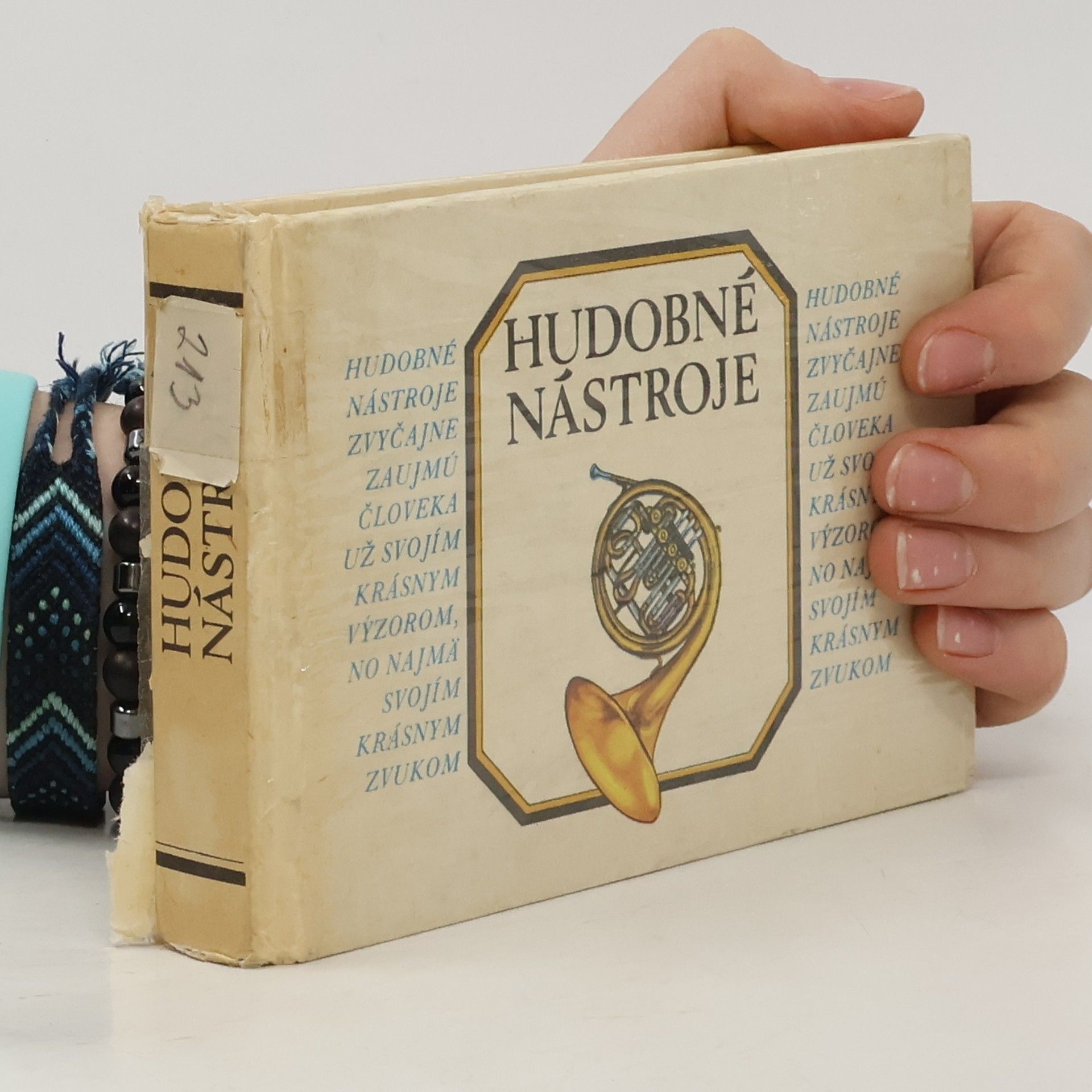 Kolektív autorov Hudobné nástroje