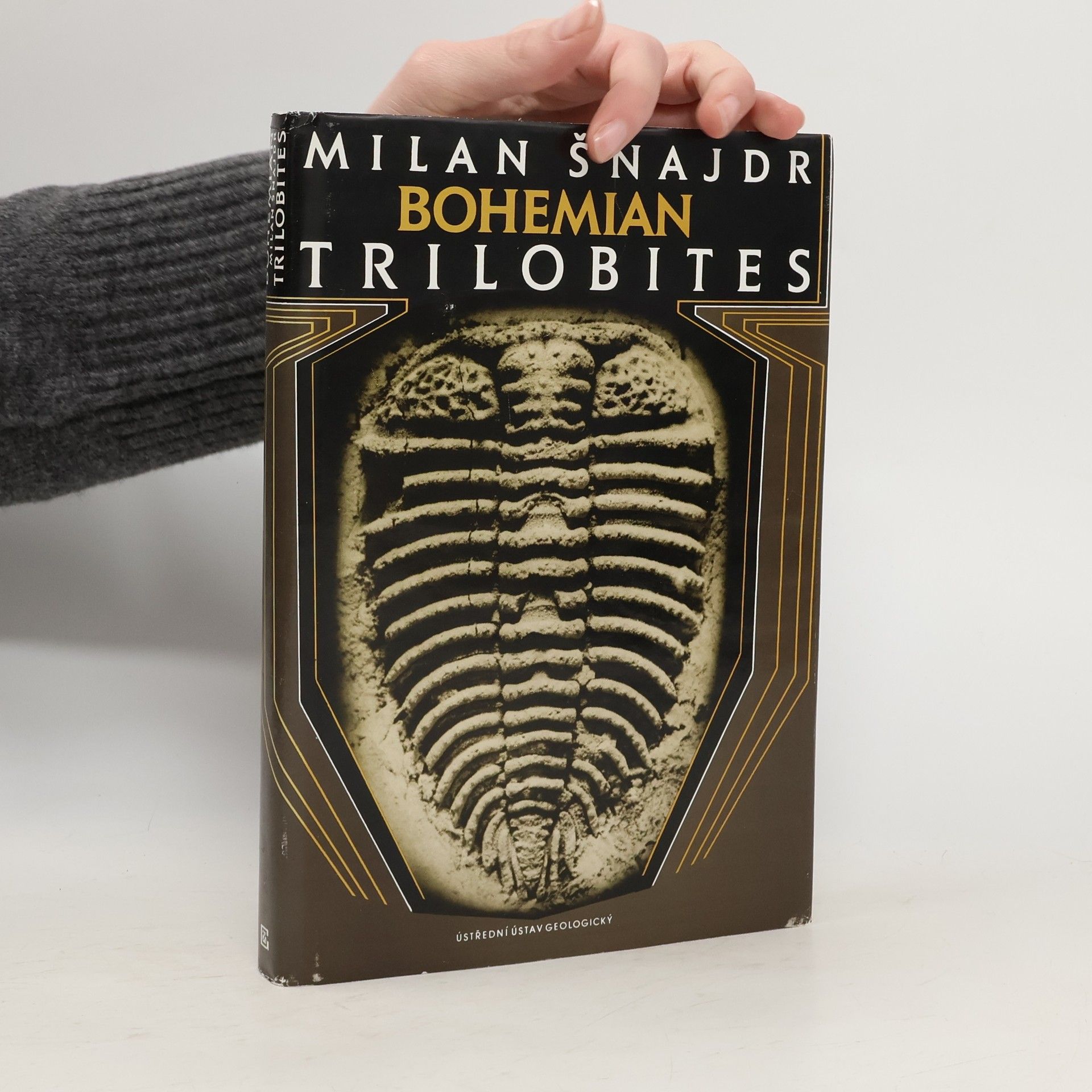 Bohemian trilobites