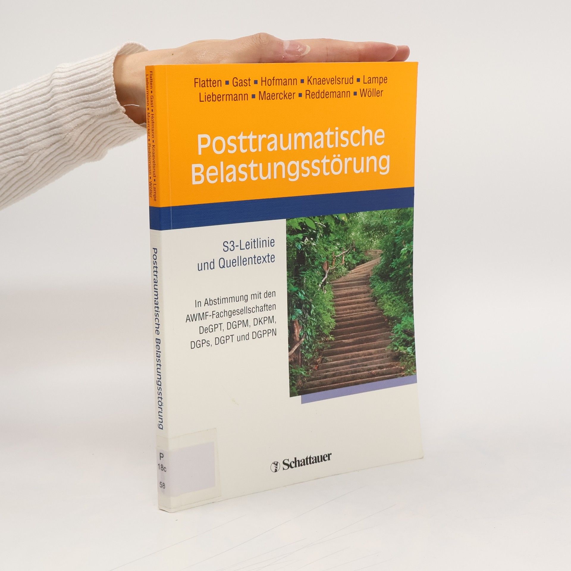 Guido Flatten Posttraumatische Belastungsstörung