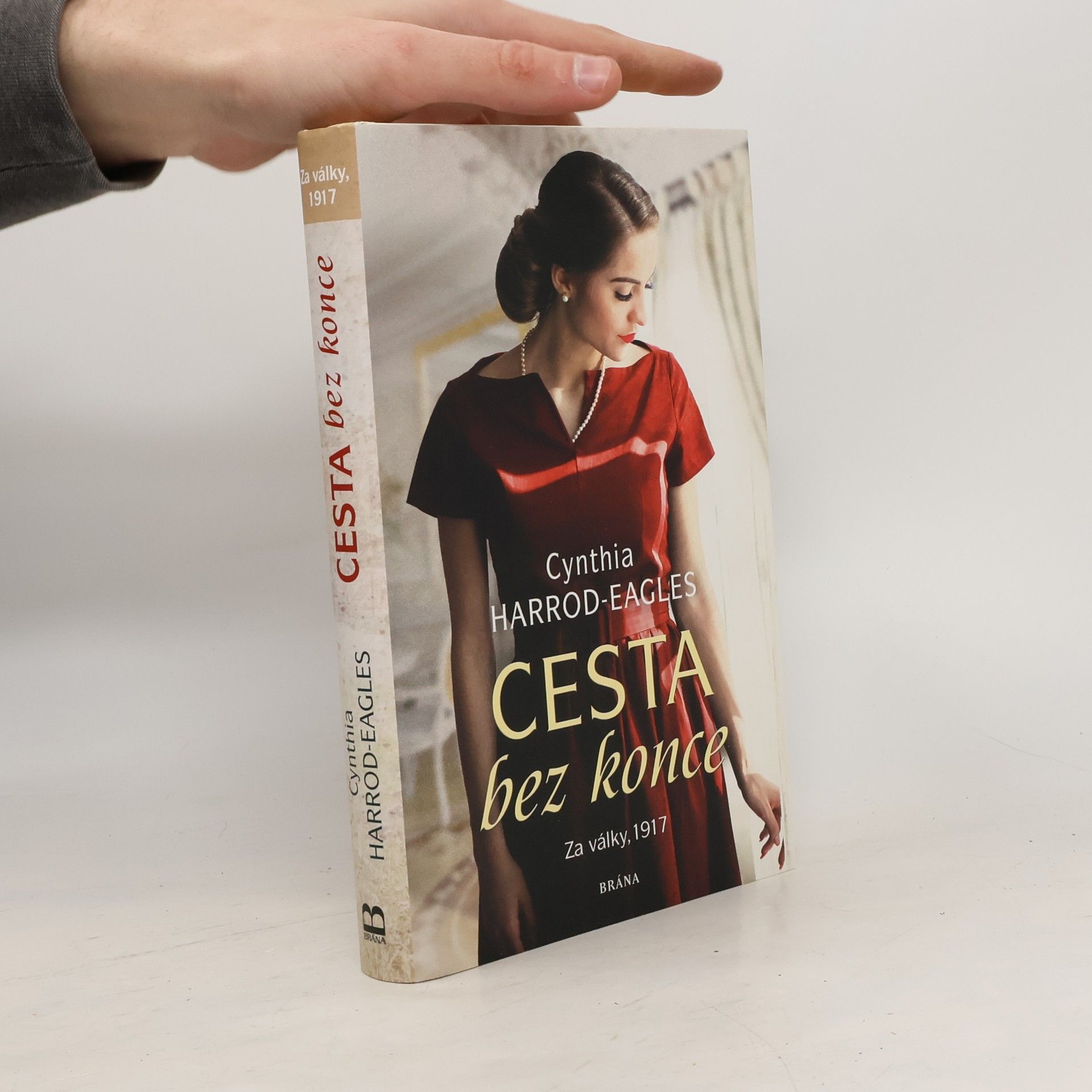 Cynthia Harrod-Eagles Cesta bez konce. Za války, 1917