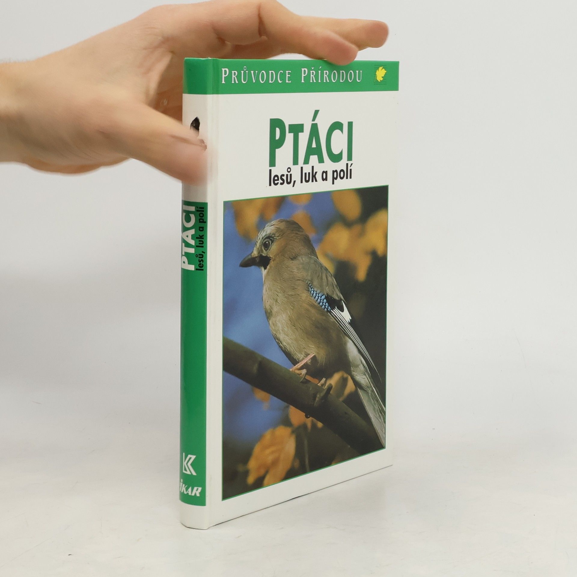 Frieder Sauer Ptáci lesů, luk a polí