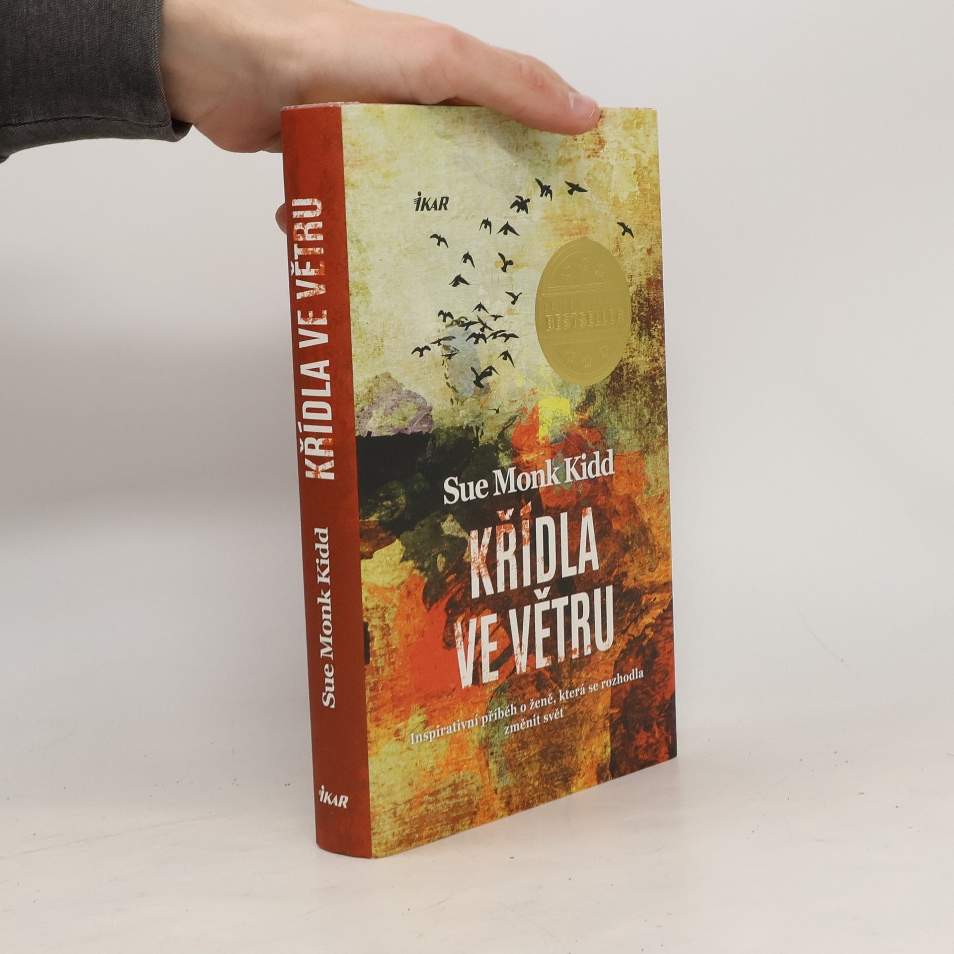 Sue Monk Kidd Křídla ve větru