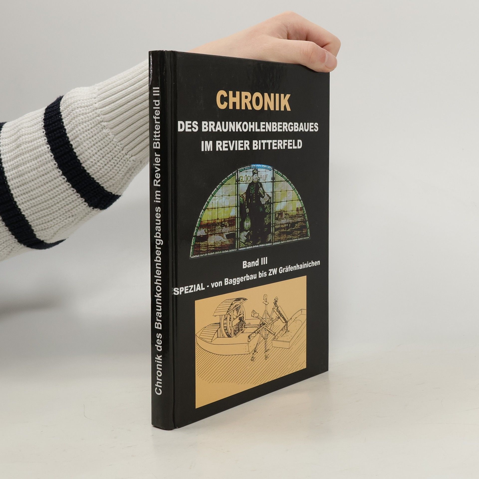 Autorenkollektiv Chronik des Braunkohlenbergbaues im Revier Bitterfeld Band III