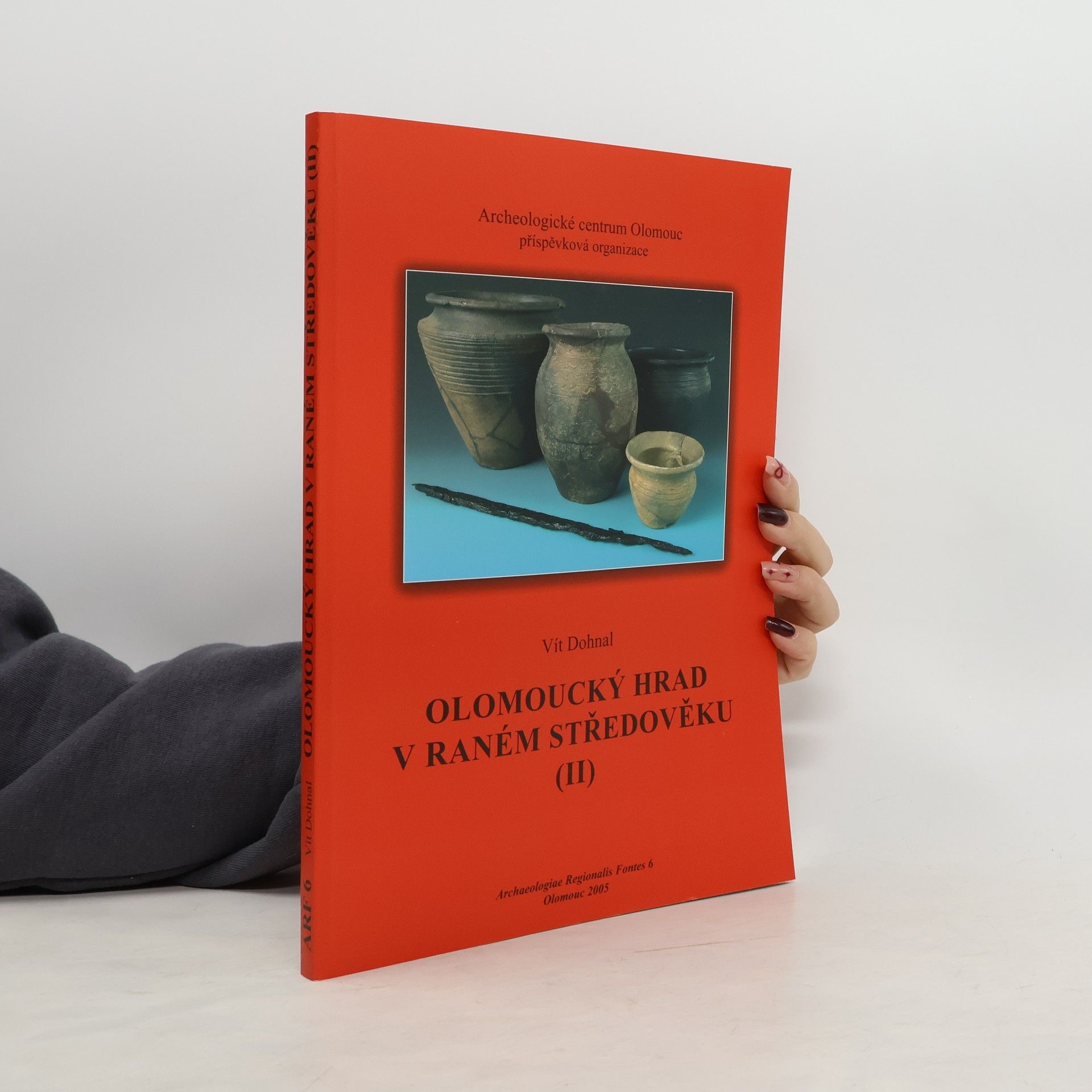 Olomoucký hrad v raném středověku (II)