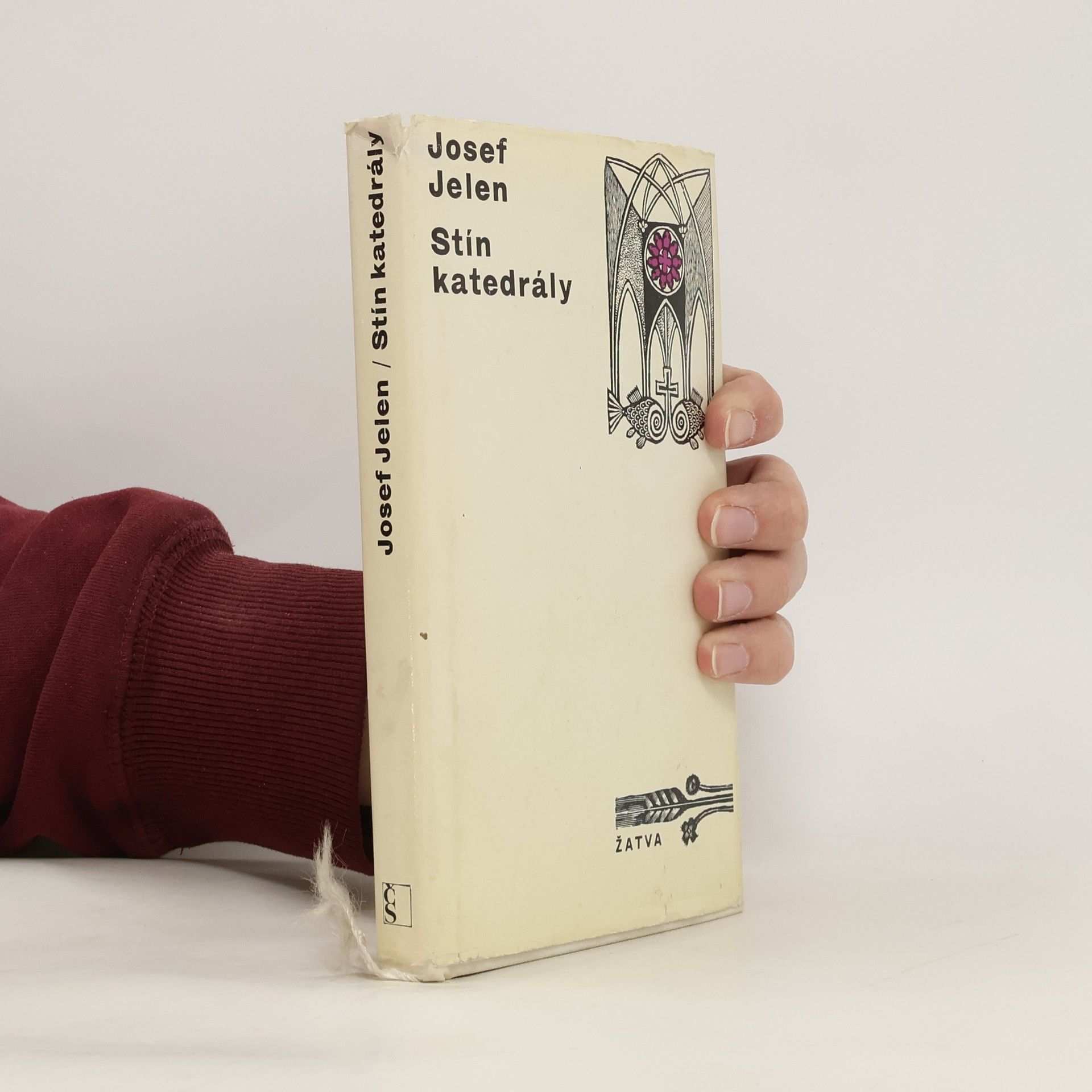 Josef Jelen Stín katedrály