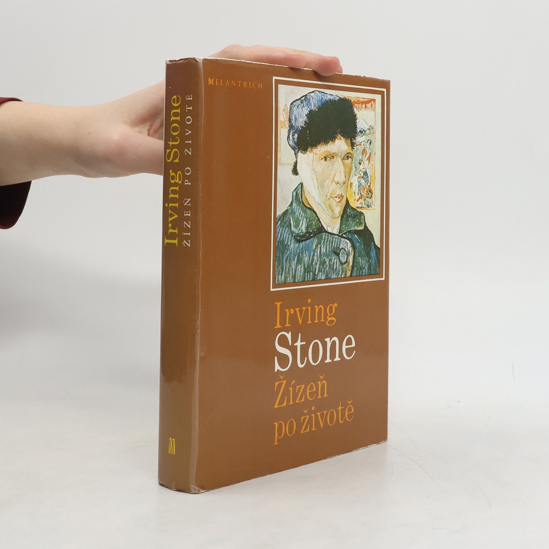 Irving Stone Žízeň po životě