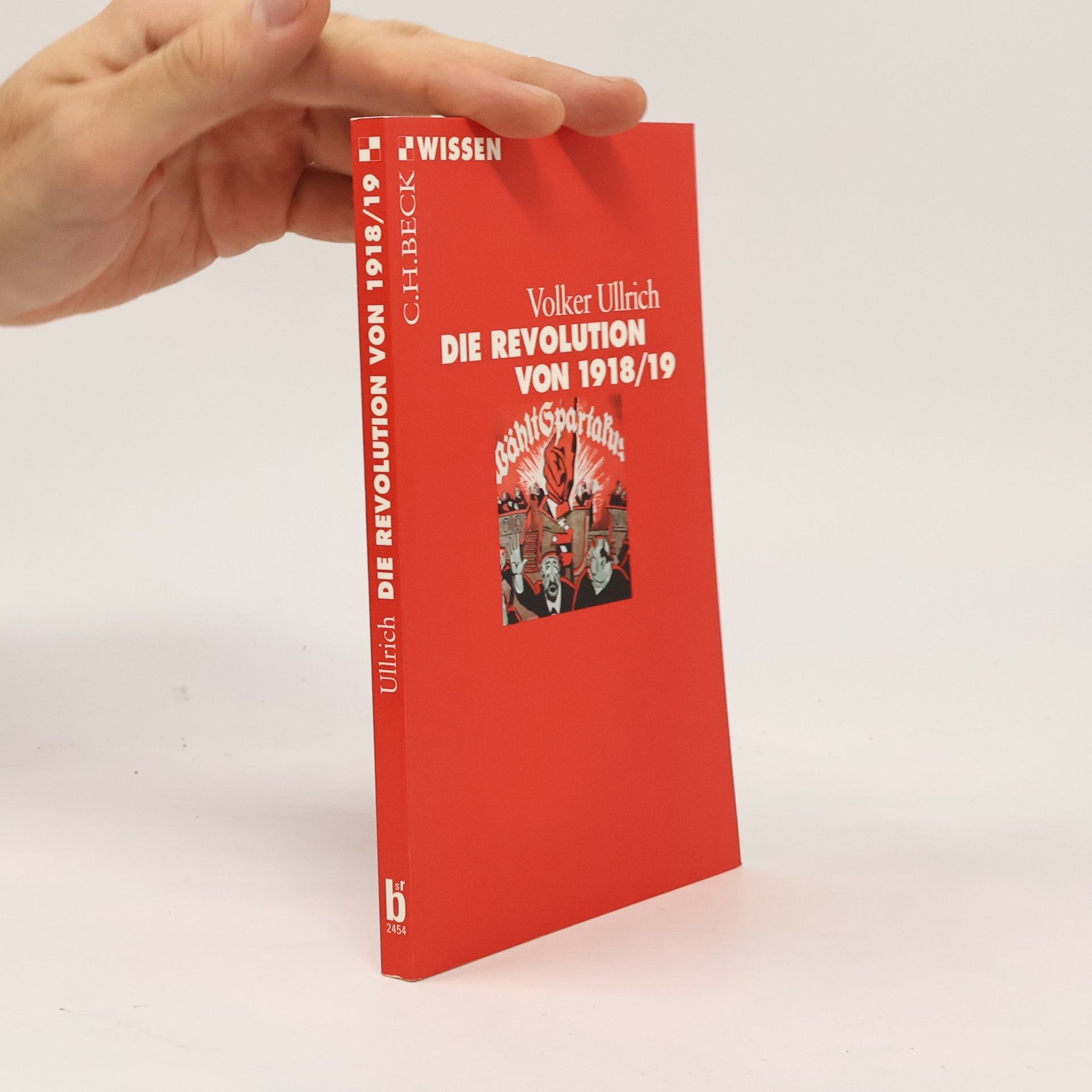 Die Revolution von 1918/19