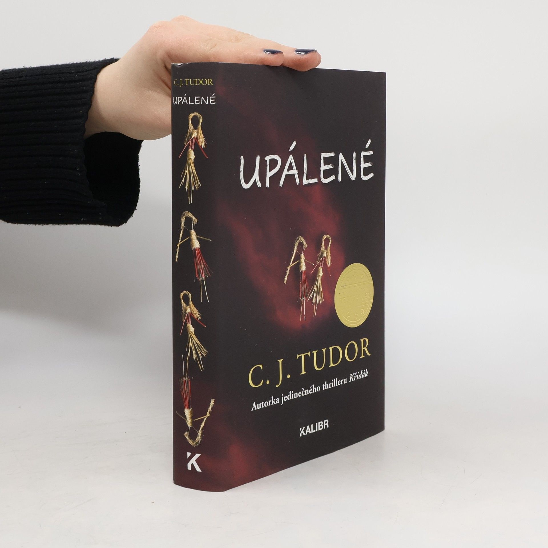 C. J. Tudor Upálené