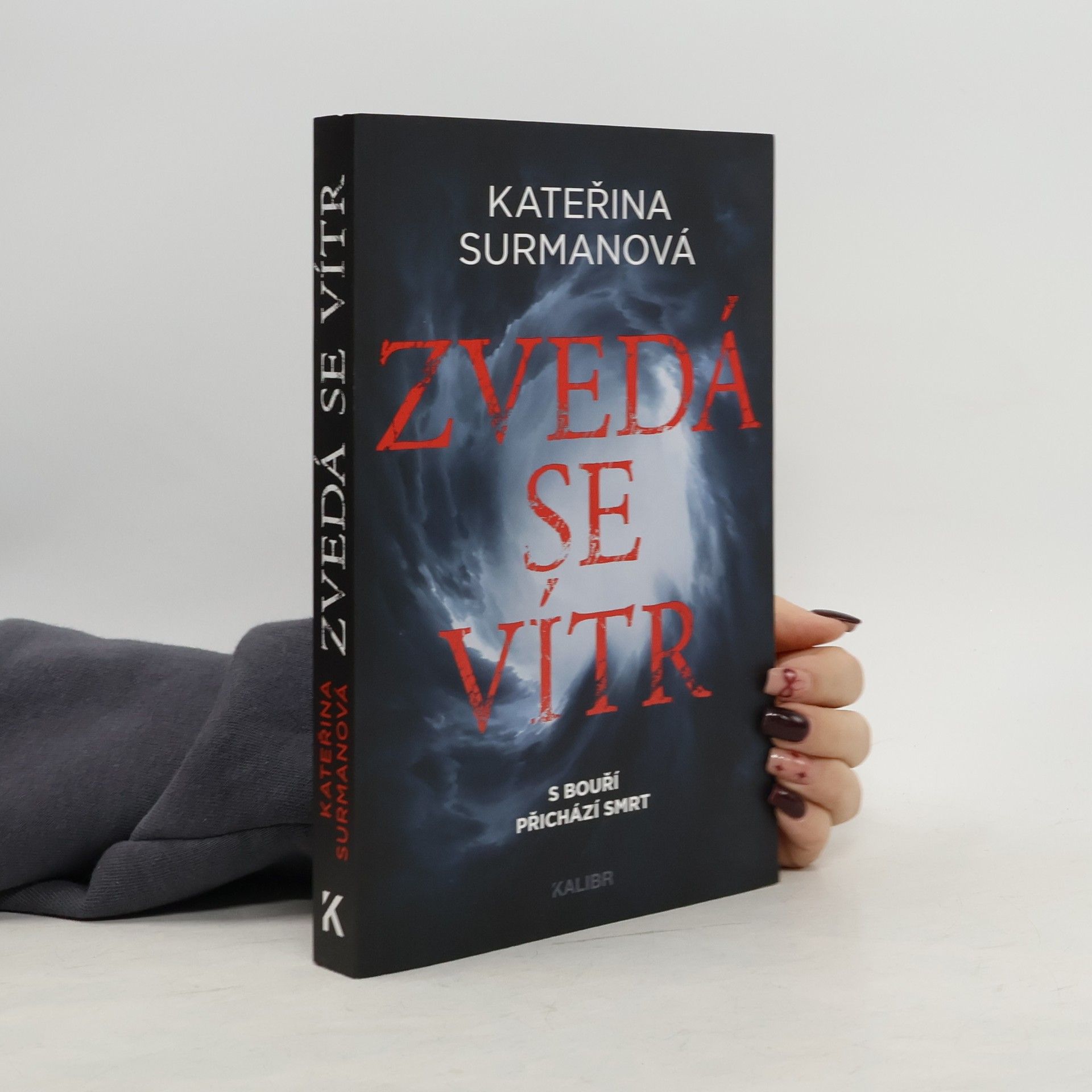 Kateřina Surmanová Zvedá se vítr