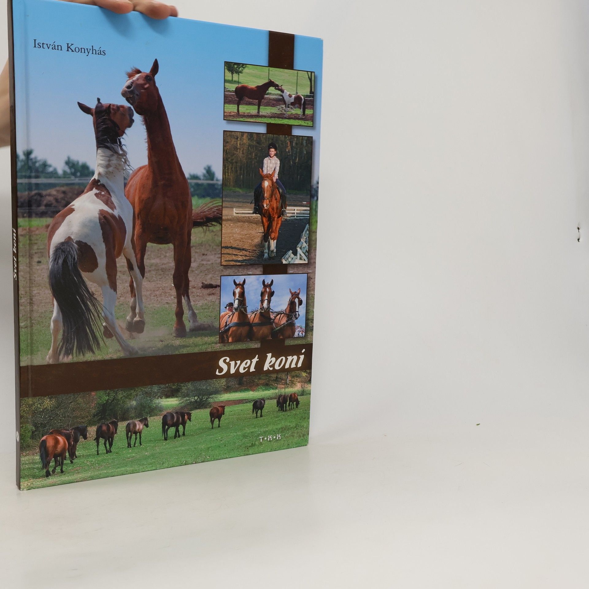 István Konyhás Svet koní