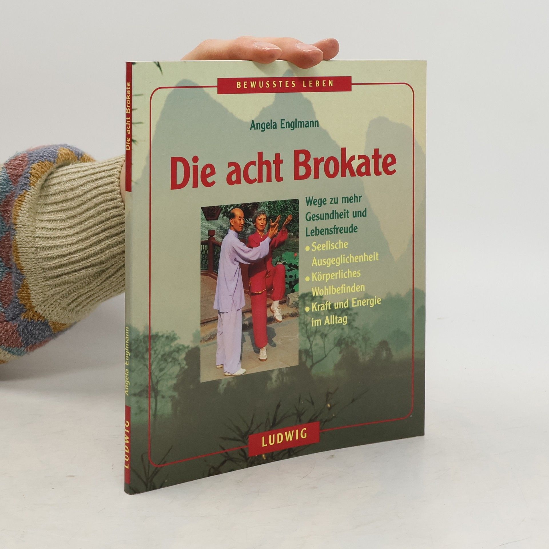 Angela Englmann Die acht Brokate