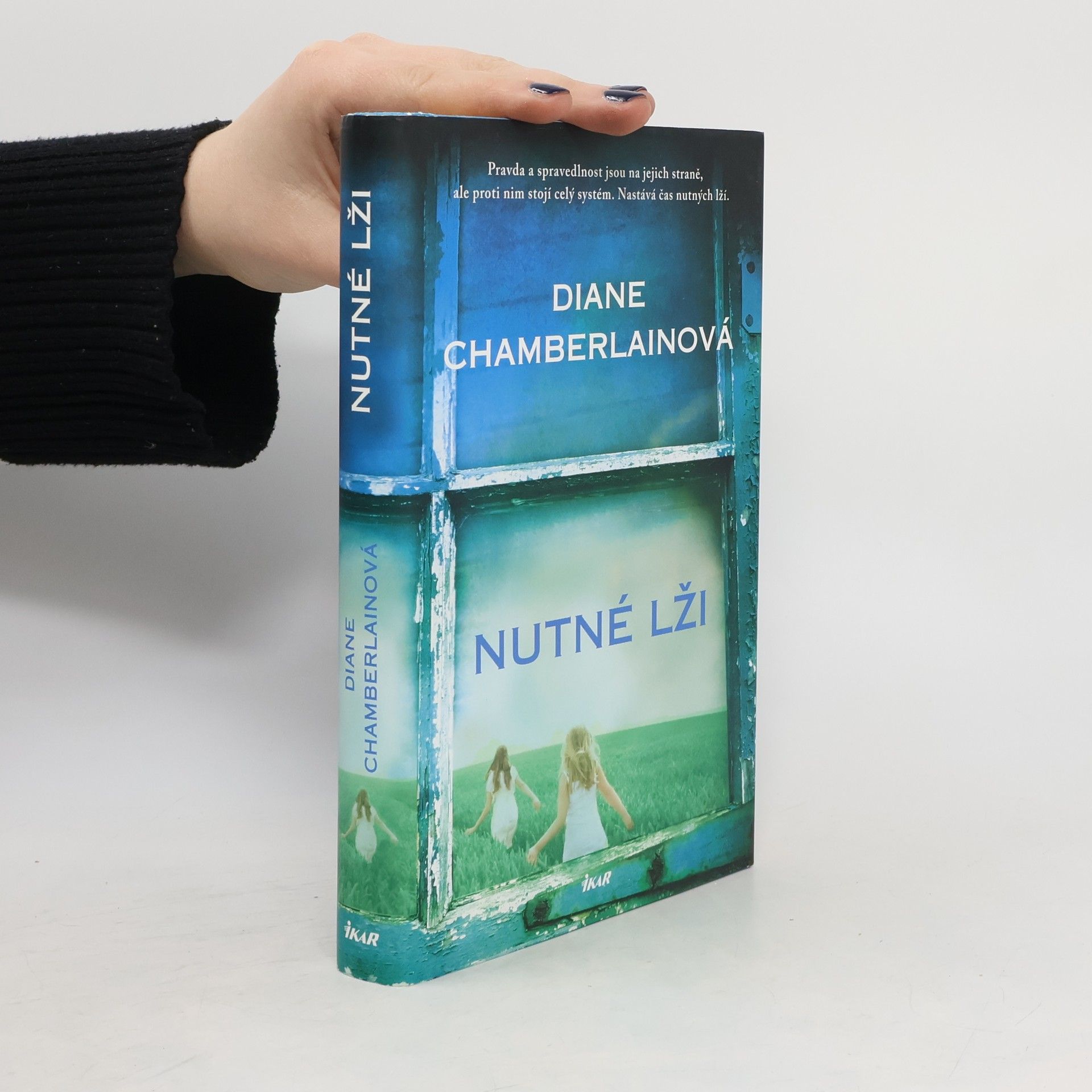 Diane Chamberlain Nutné lži