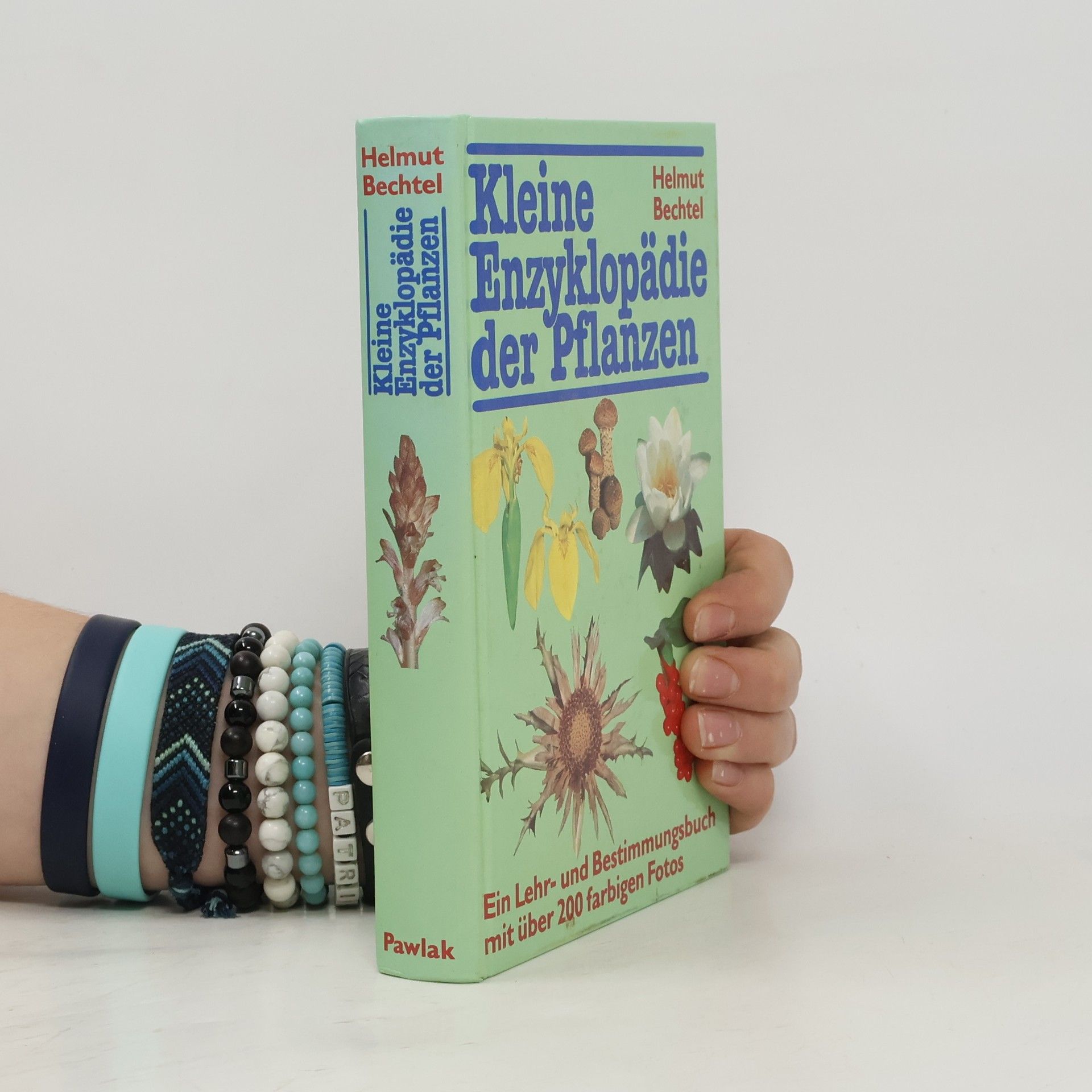 Helmut Bechtel Kleine Enzyklopädie der Pflanzen