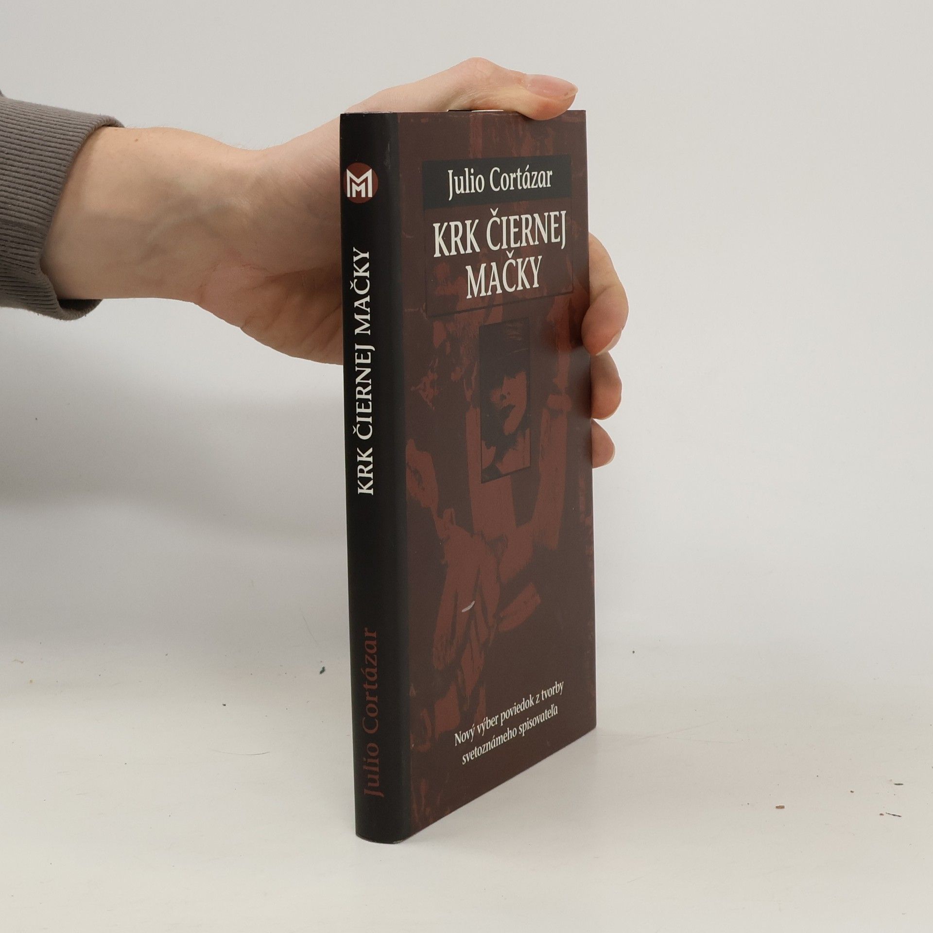 Julio Cortázar Krk čiernej mačky