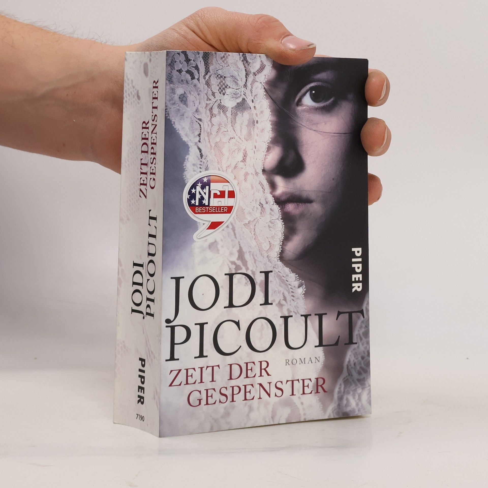Jodi Picoult Zeit der Gespenster