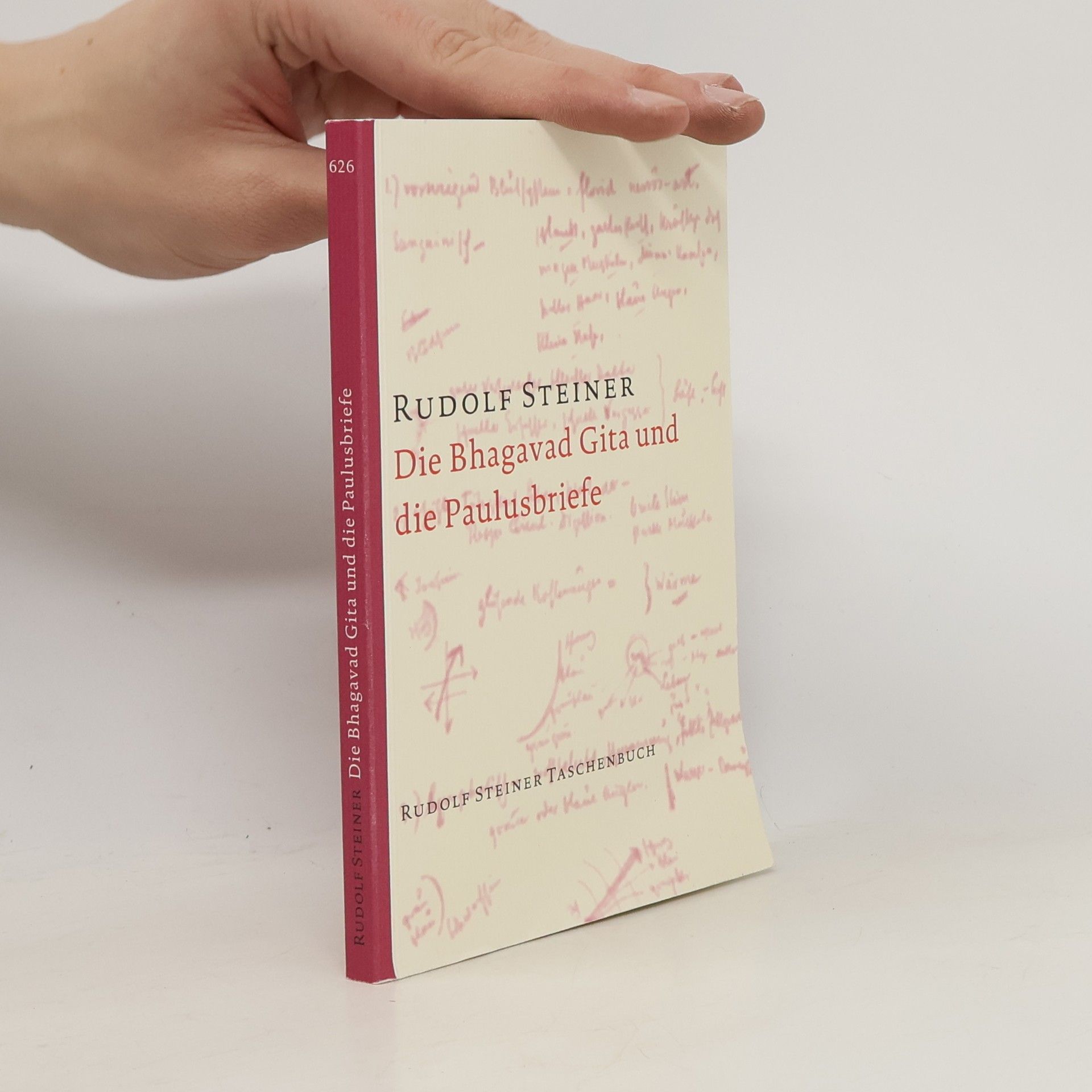 Rudolf Steiner Die Bhagavad-gītā und die Paulusbriefe