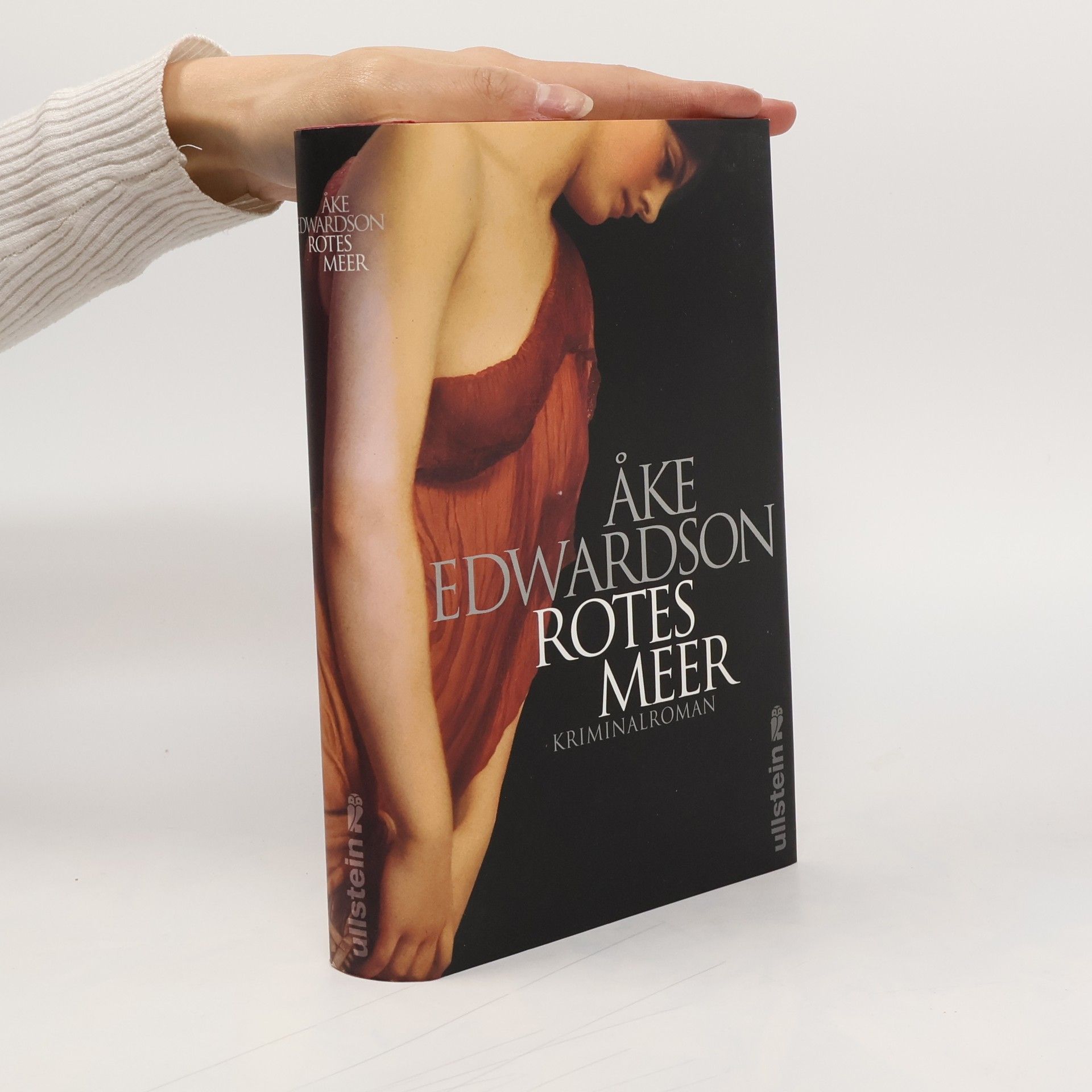 Åke Edwardson Rotes Meer