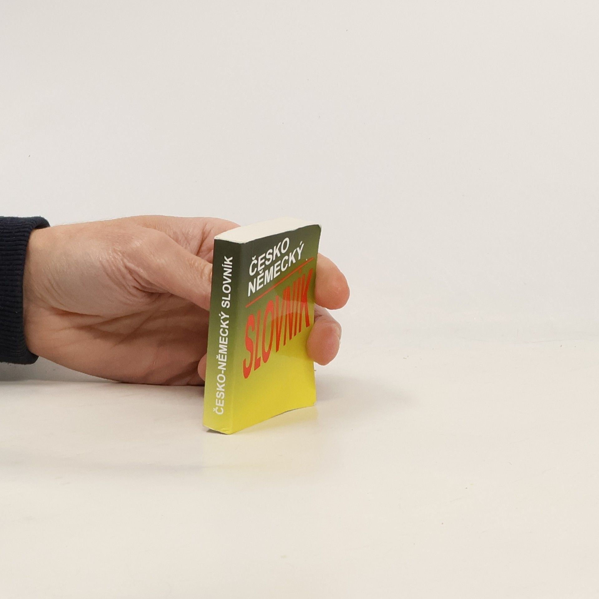 Autores varios Česko-německý slovník