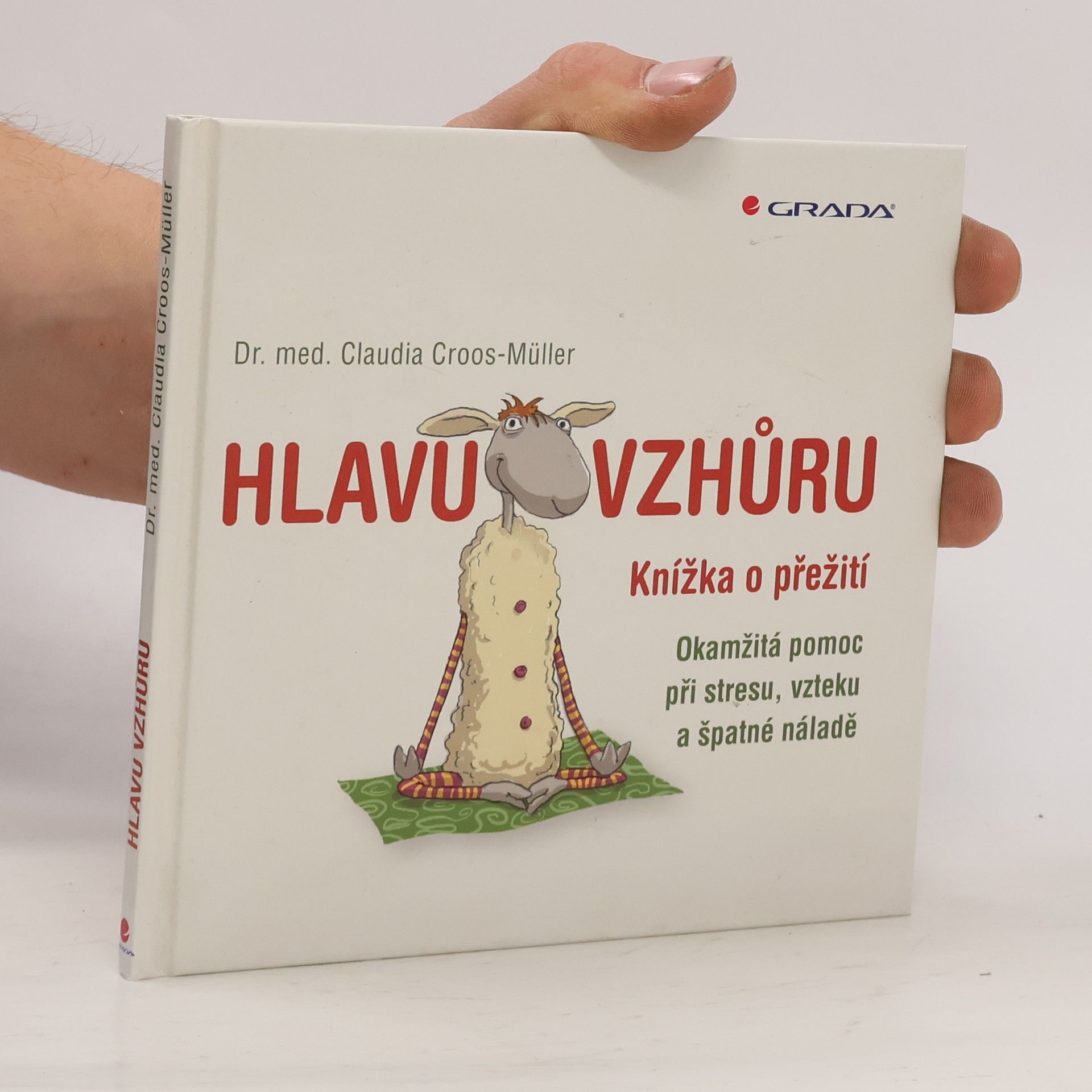 Hlavu vzhůru: Knížka o přežití : okamžitá pomoc při stresu, vzteku a špatné náladě
