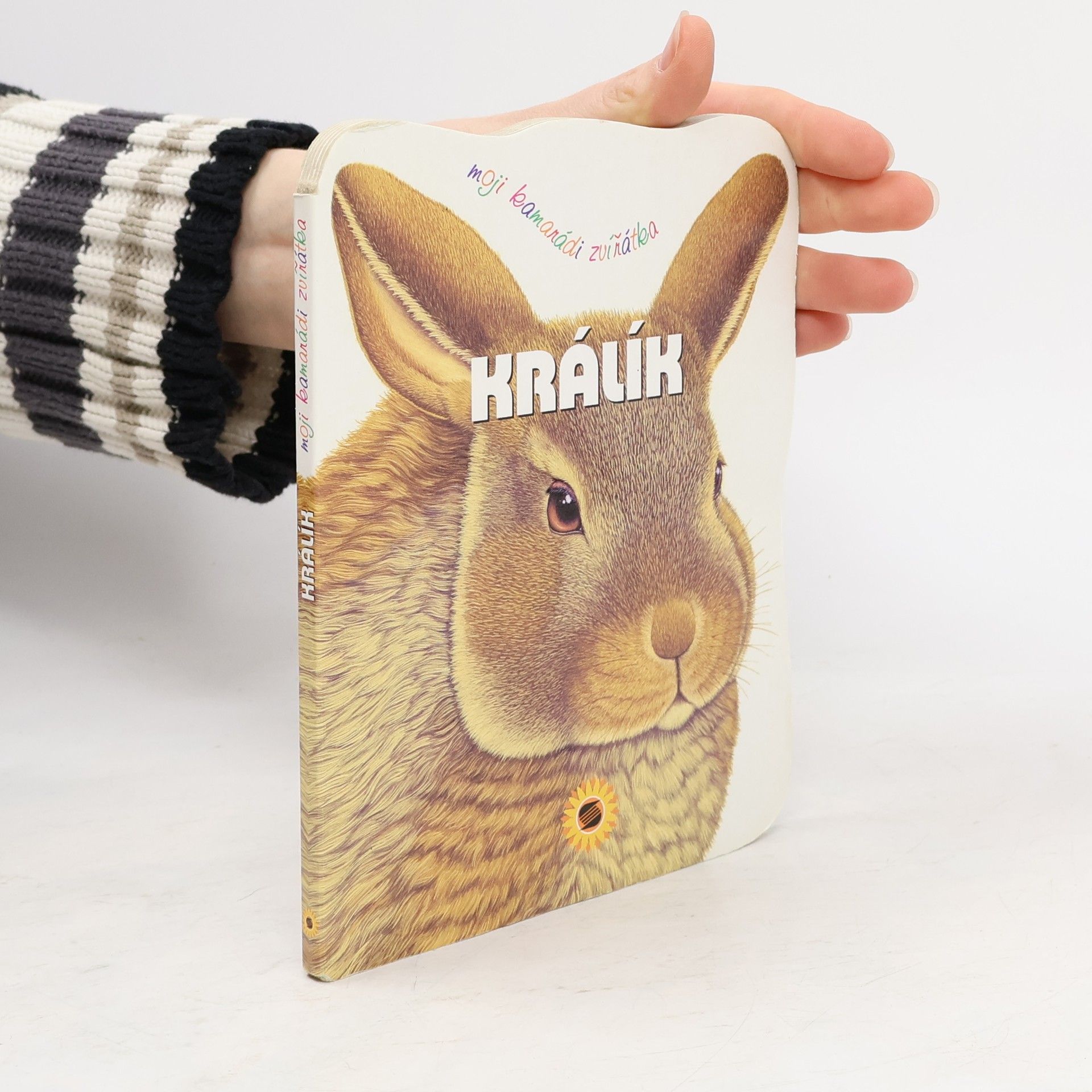 Consuelo Delgado Beistegui Králík