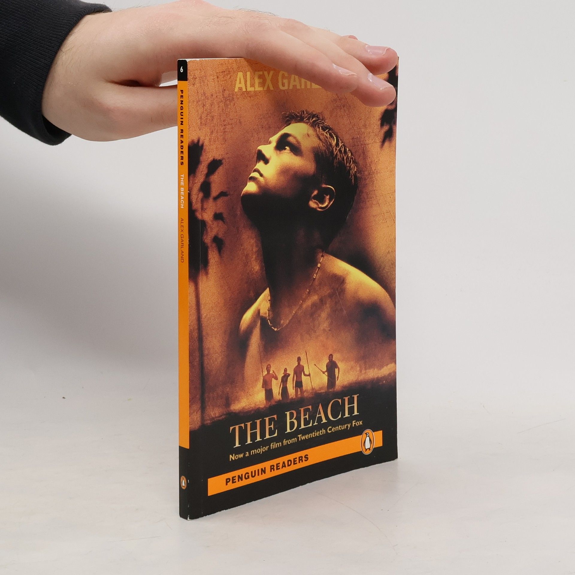 Various authors The beach