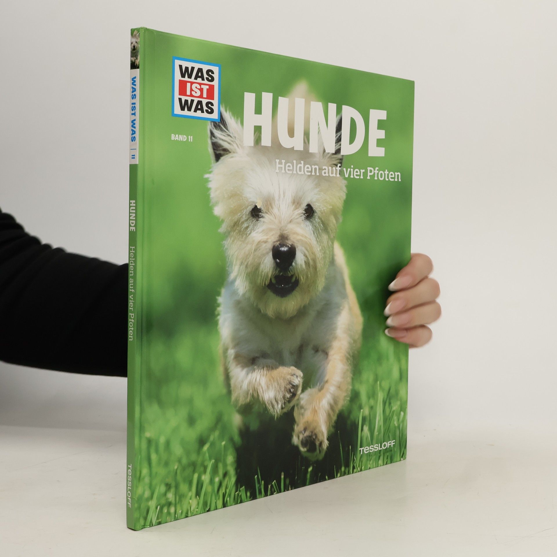 Autorenkollektiv Hunde. Helden auf vier Pfoten