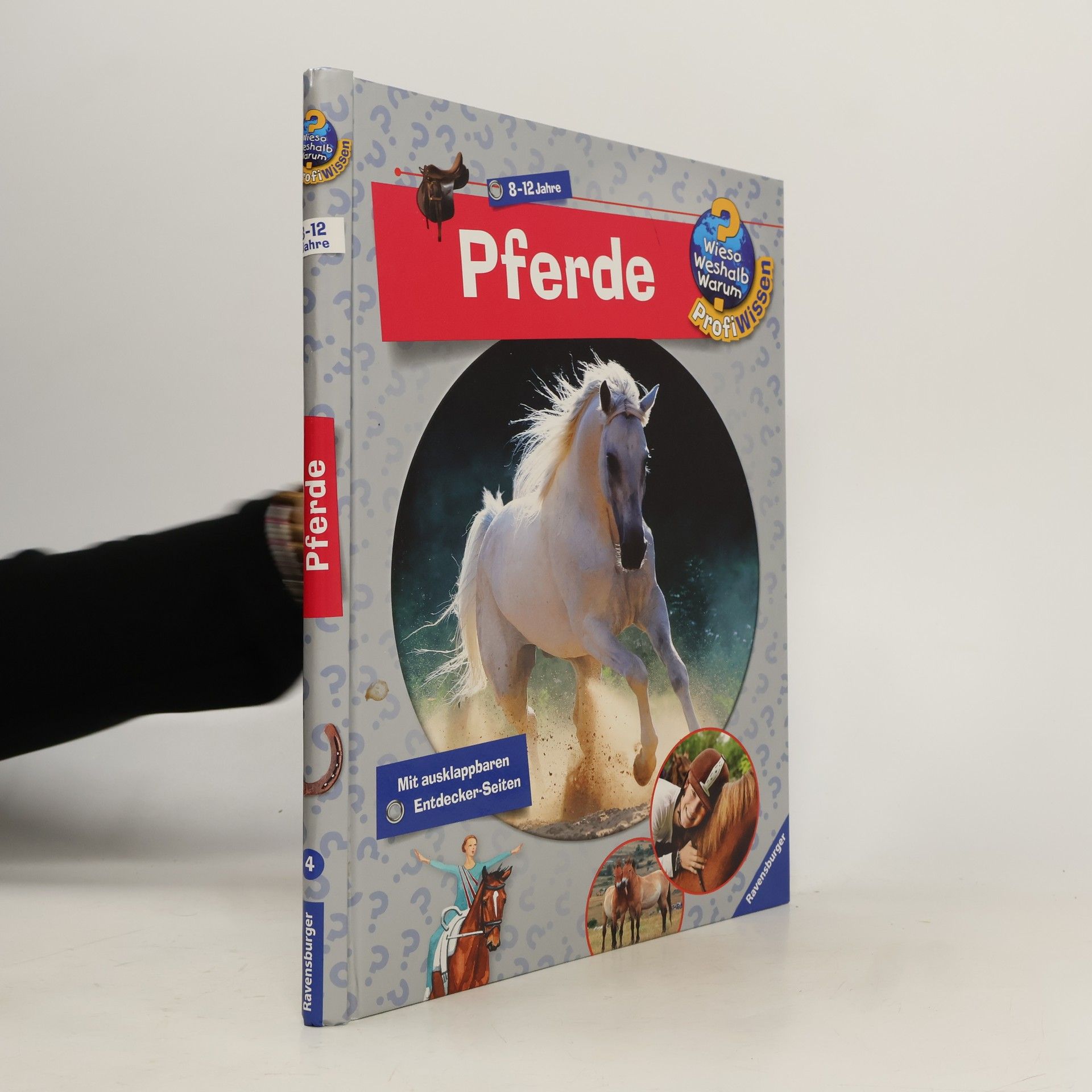 Autorenkollektiv Pferde