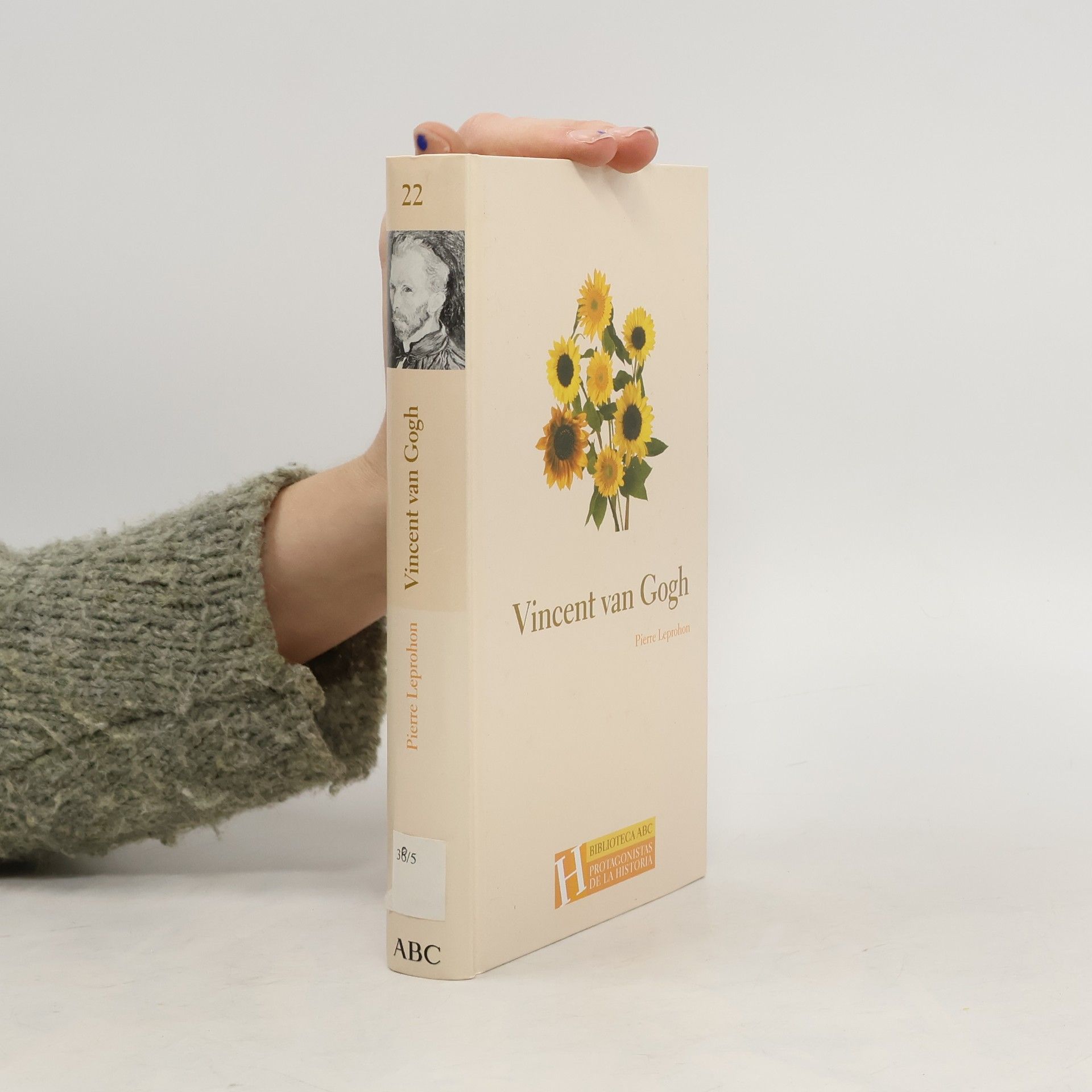 Leprohon Pierre Vincent van Gogh