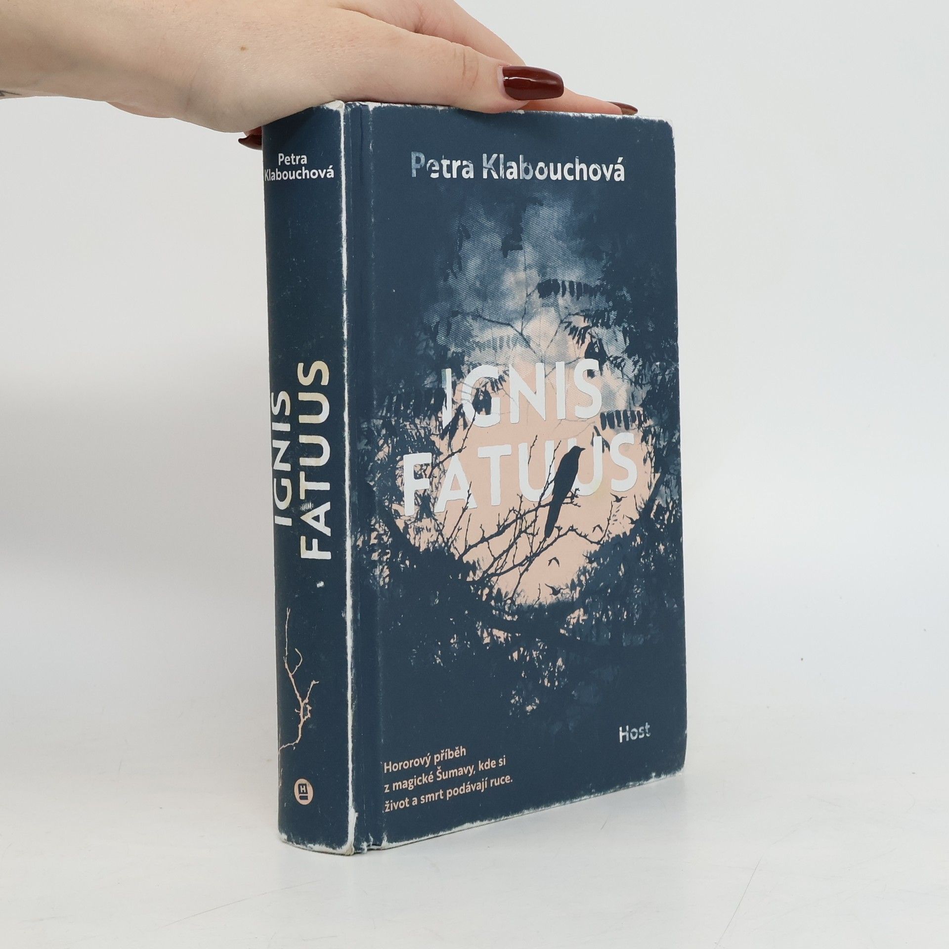 Petra Klabouchová Ignis Fatuus