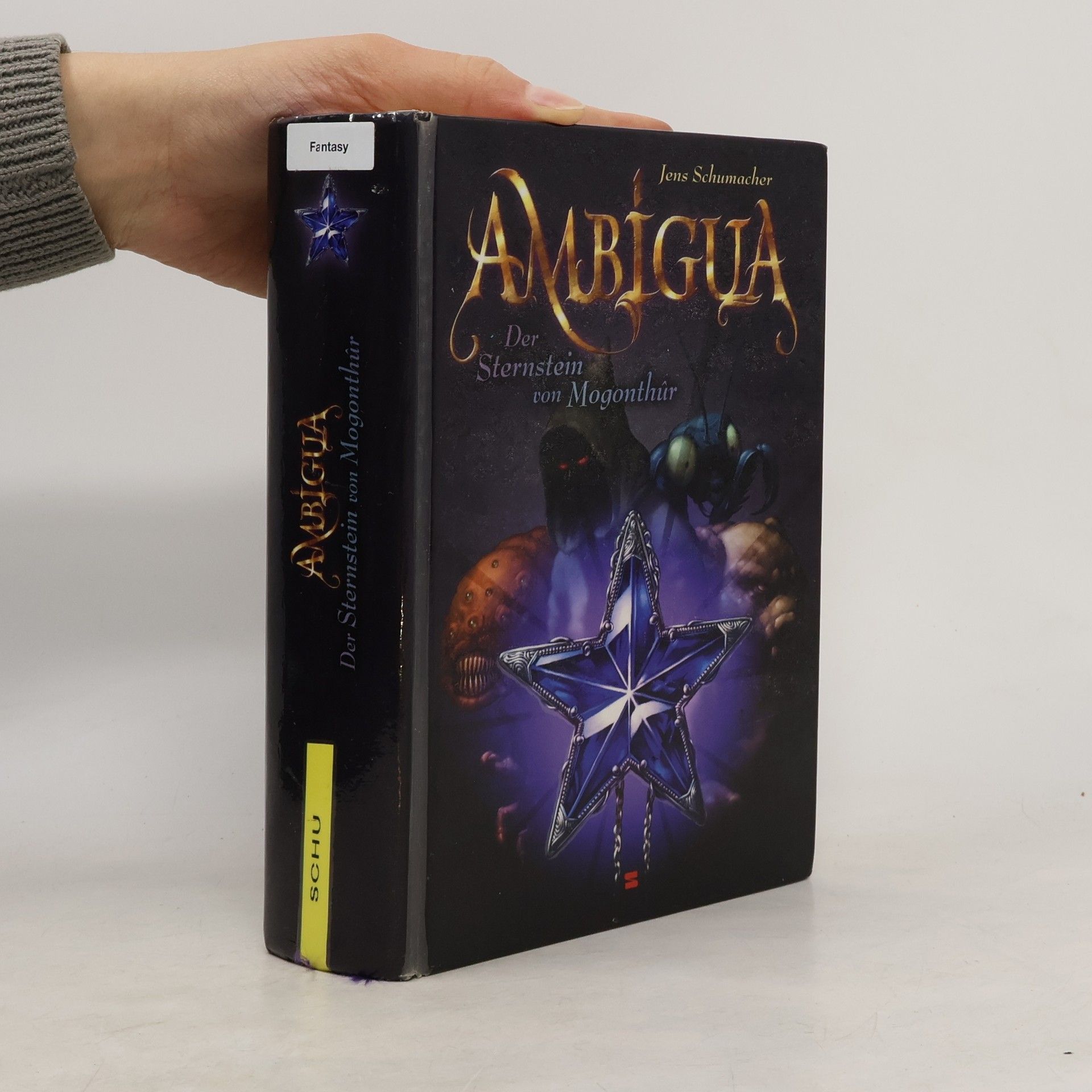 Jens Schumacher Der Sternstein von Mogonthur