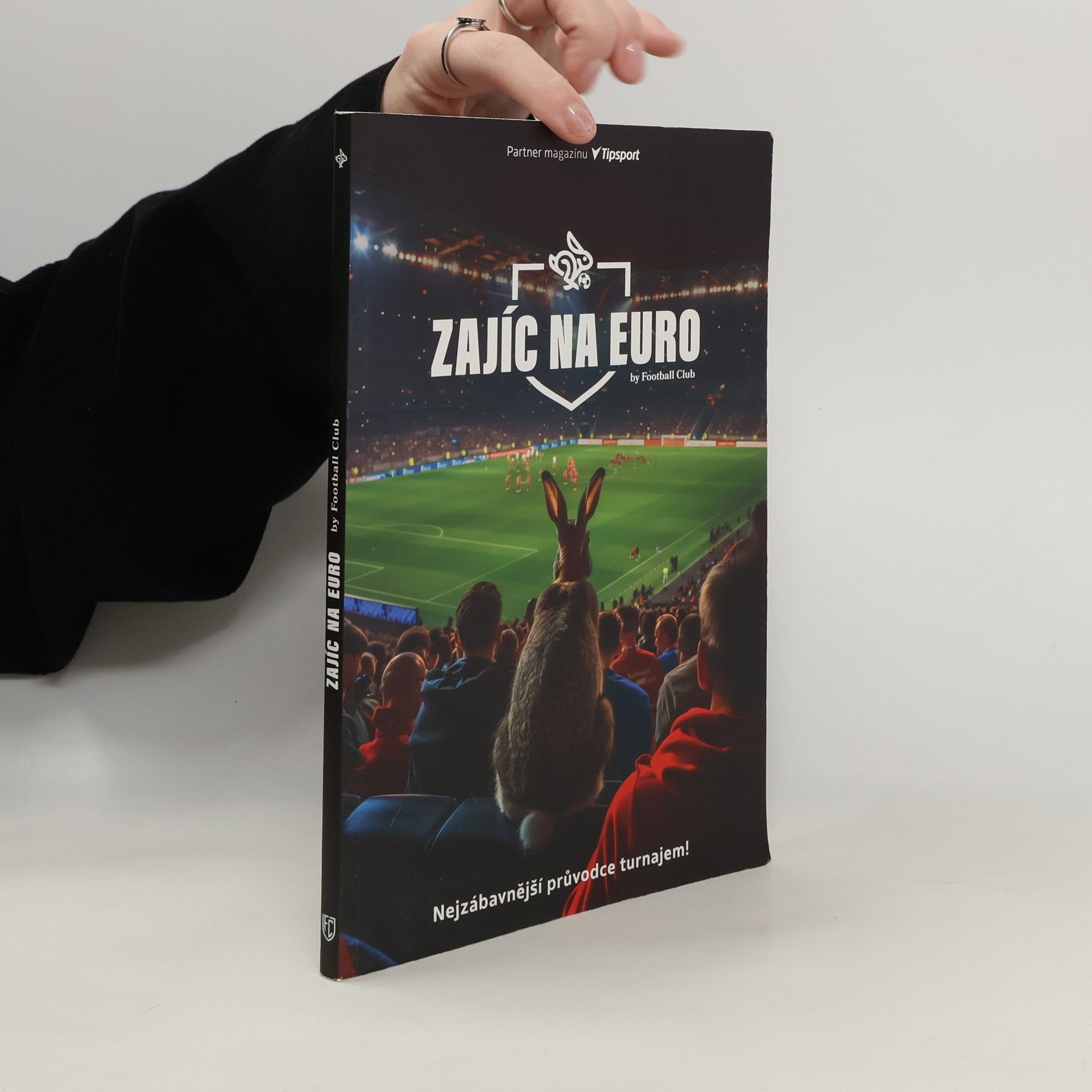 Autorenkollektiv Zajíc na euro