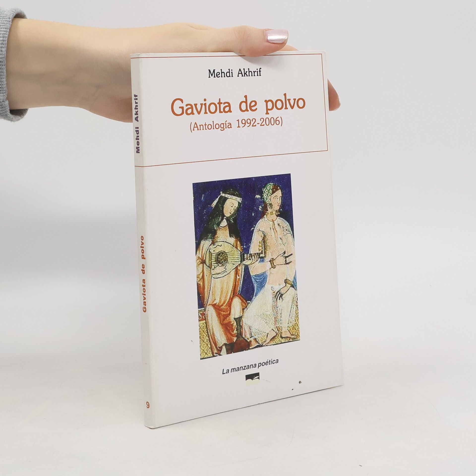 Mehdi Akhrif Gaviota de polvo