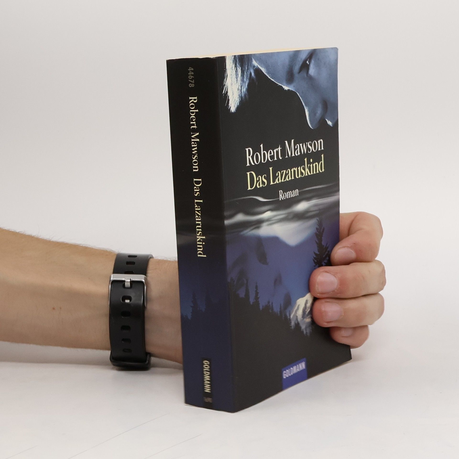 Robert Mawson Das Lazaruskind