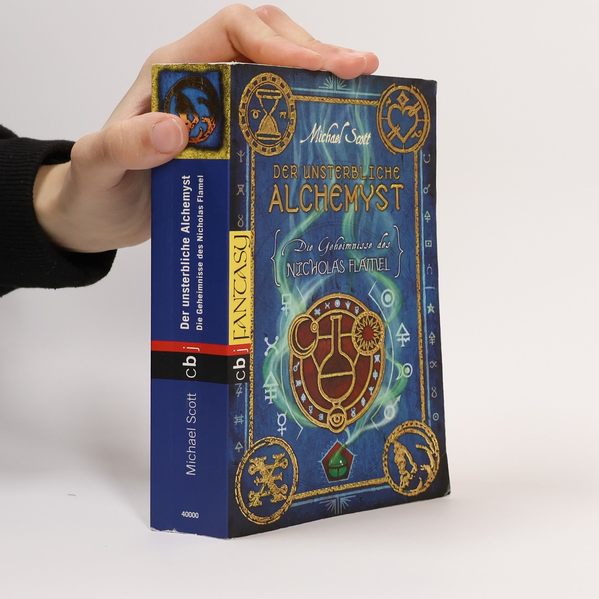 Die Geheimnisse des Nicholas Flamel. Der unsterbliche Alchemyst