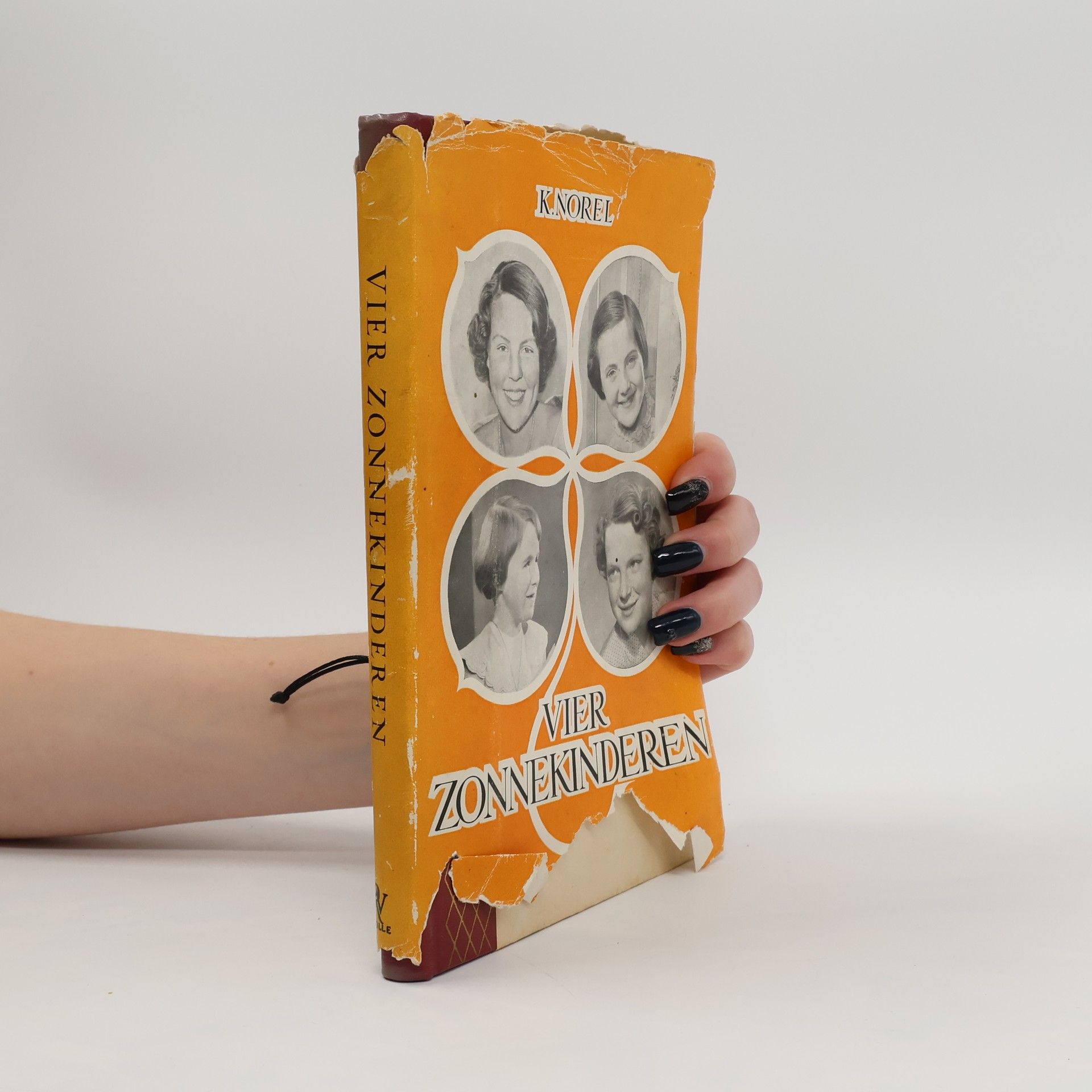 Klaas Norel Vier zonnekinderen