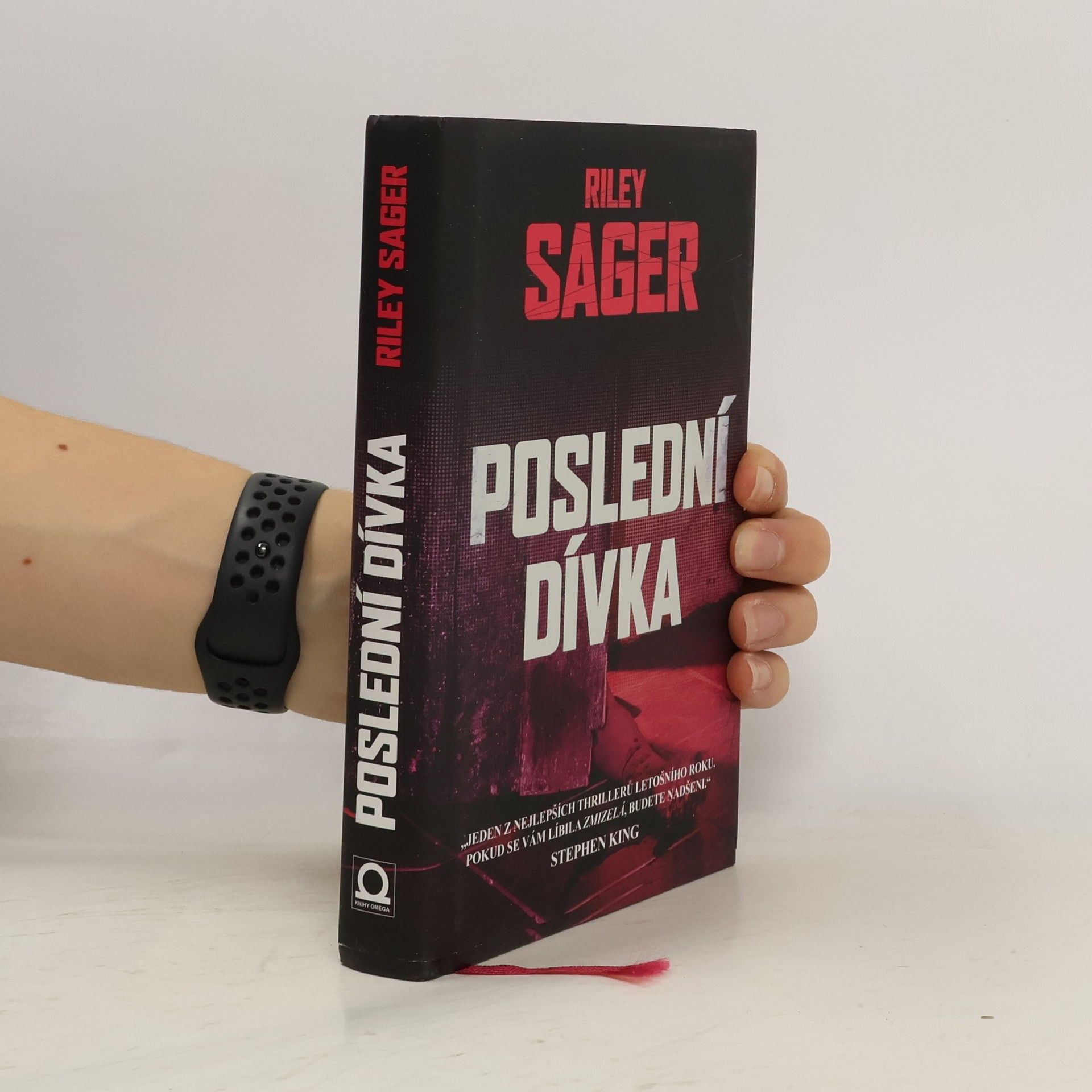 Todd Ritter Poslední dívka