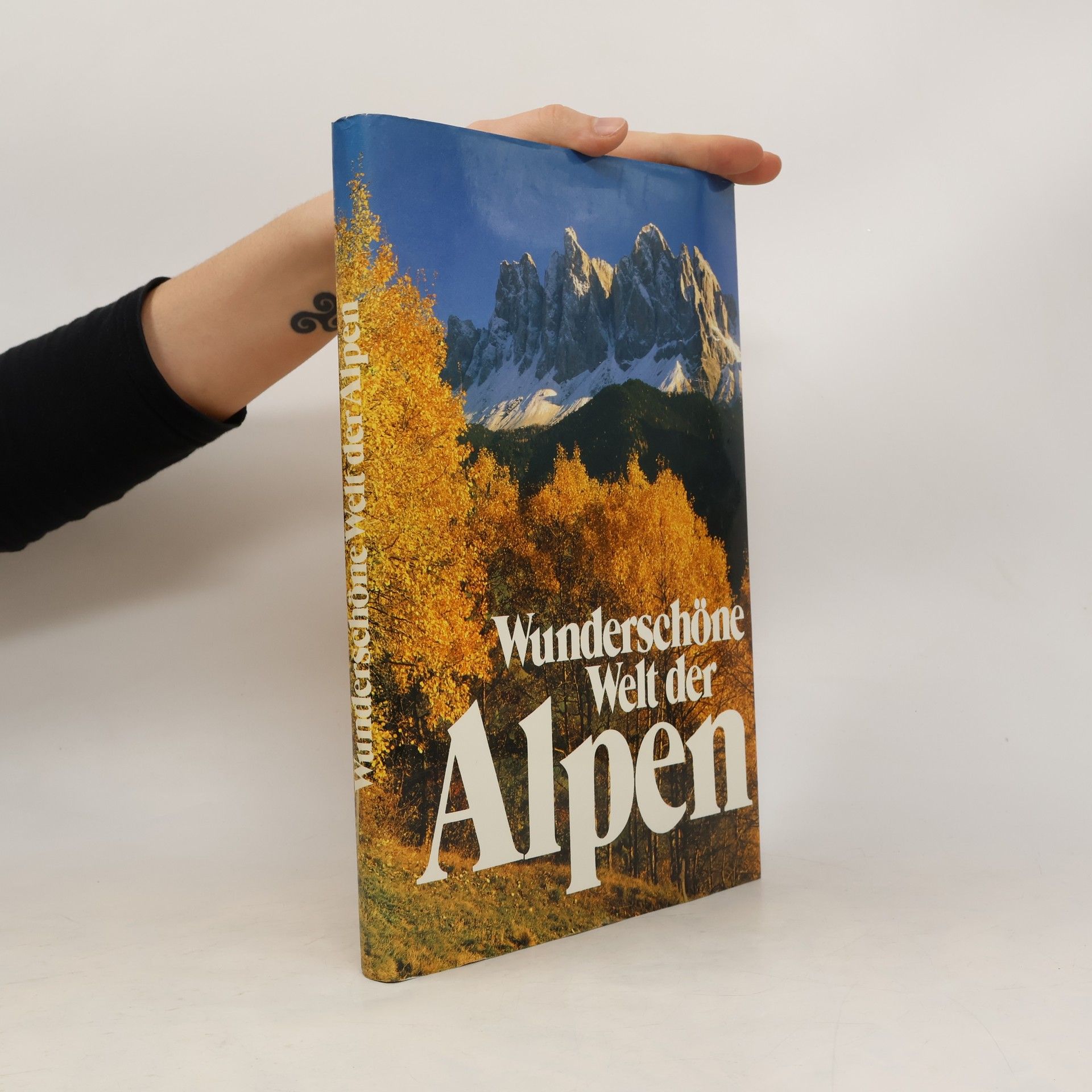 Hubbert Neuwirth Wunderschöne Welt der Alpen