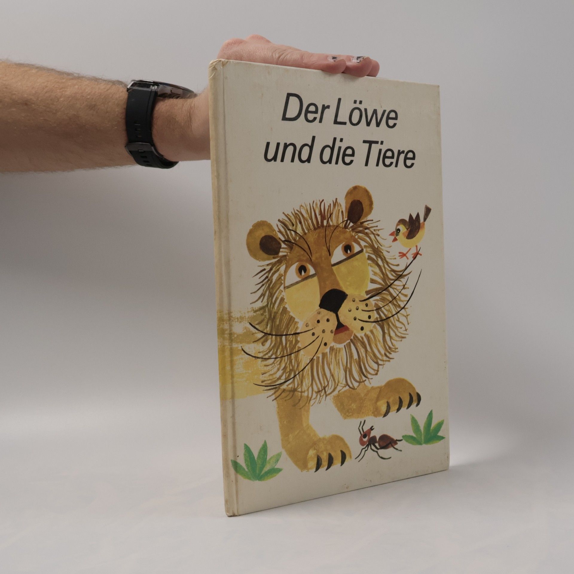 kolektiv Der Löwe und die Tiere